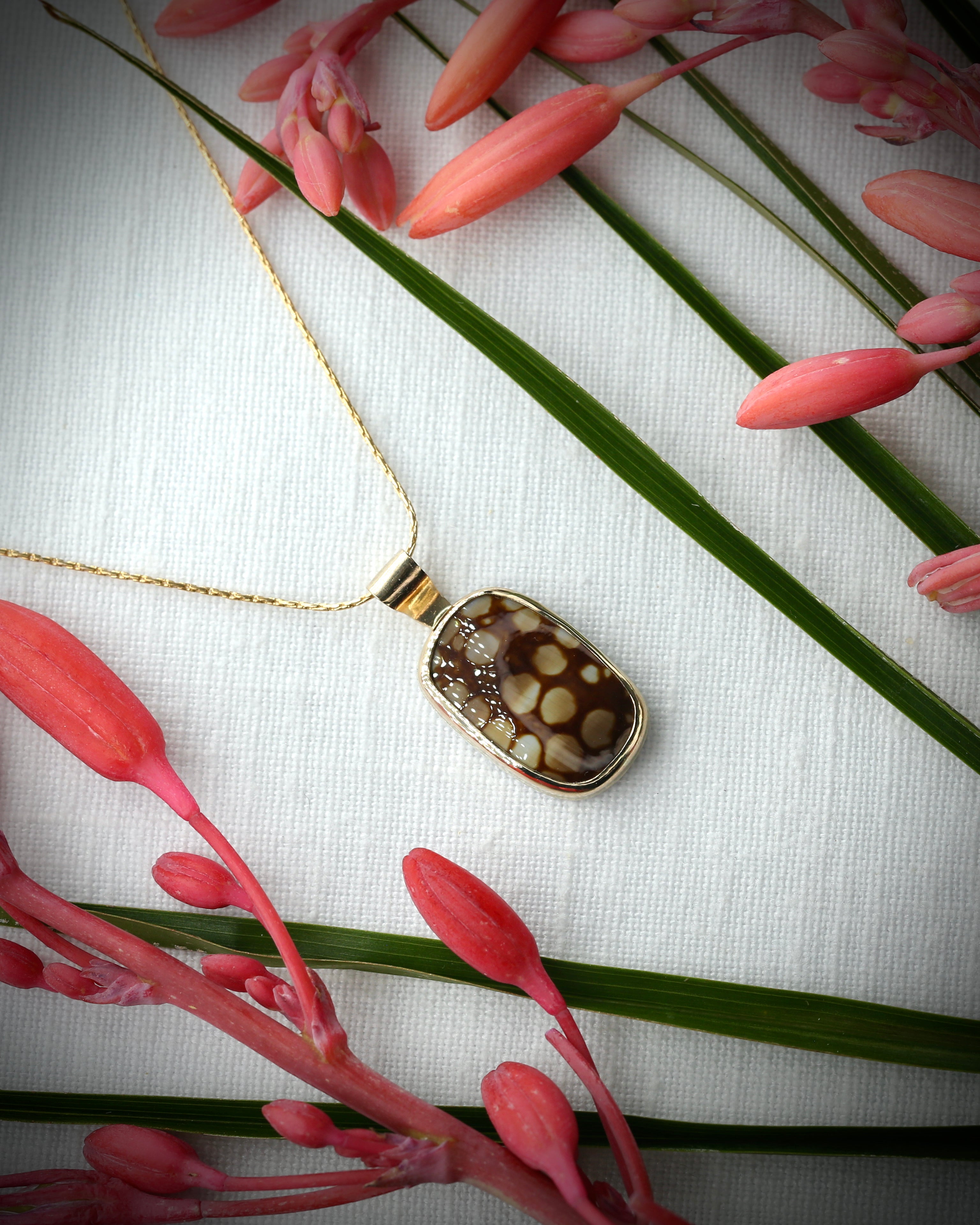 Hawaiian Humpback Cowry Driftbit Necklace - 14k Gold Filled