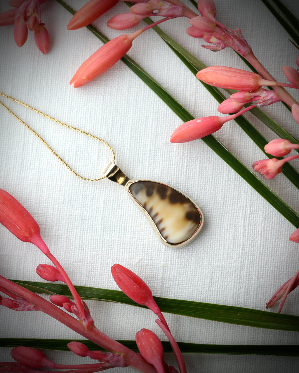 Hawaiian Tiger Cowry Driftbit Necklace - 14k Gold Filled