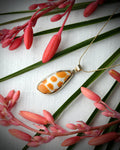 Hawaiian episcopal miter shell pendant necklace in 14k gold fill