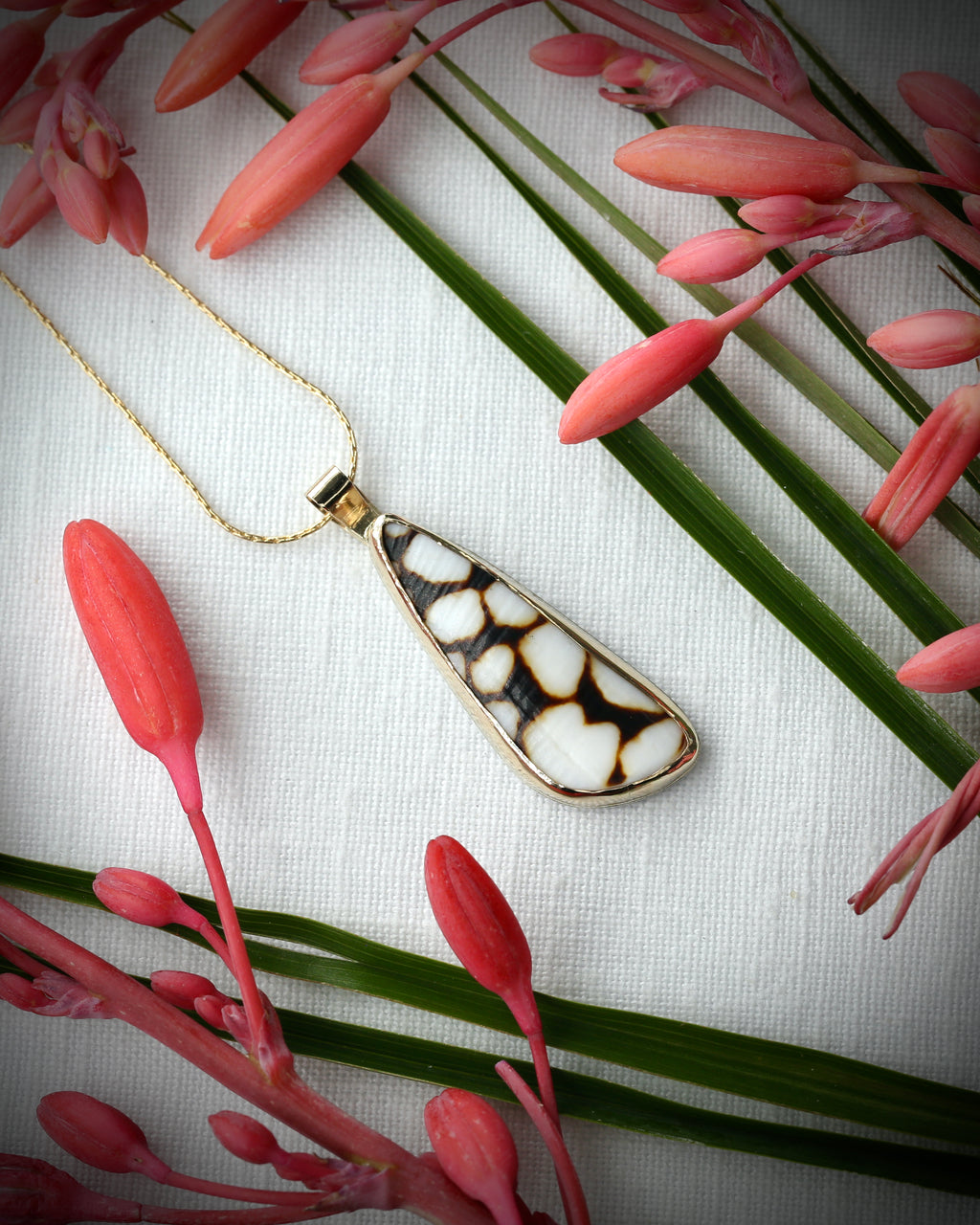 Hawaiian Marbled Cone Shell Driftbit Necklace - 14k Gold Filled