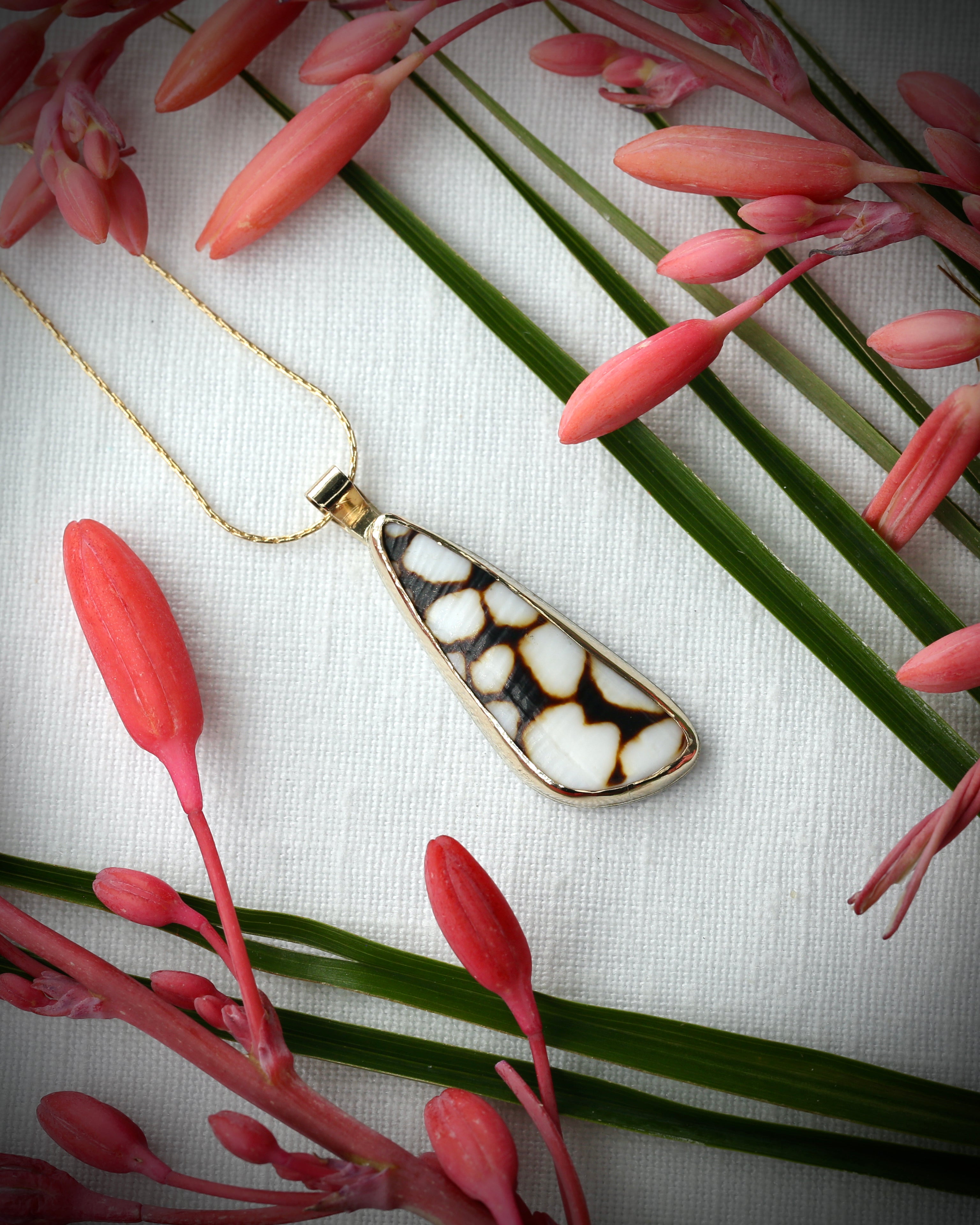 Hawaiian Marbled Cone Shell Driftbit Necklace - 14k Gold Filled