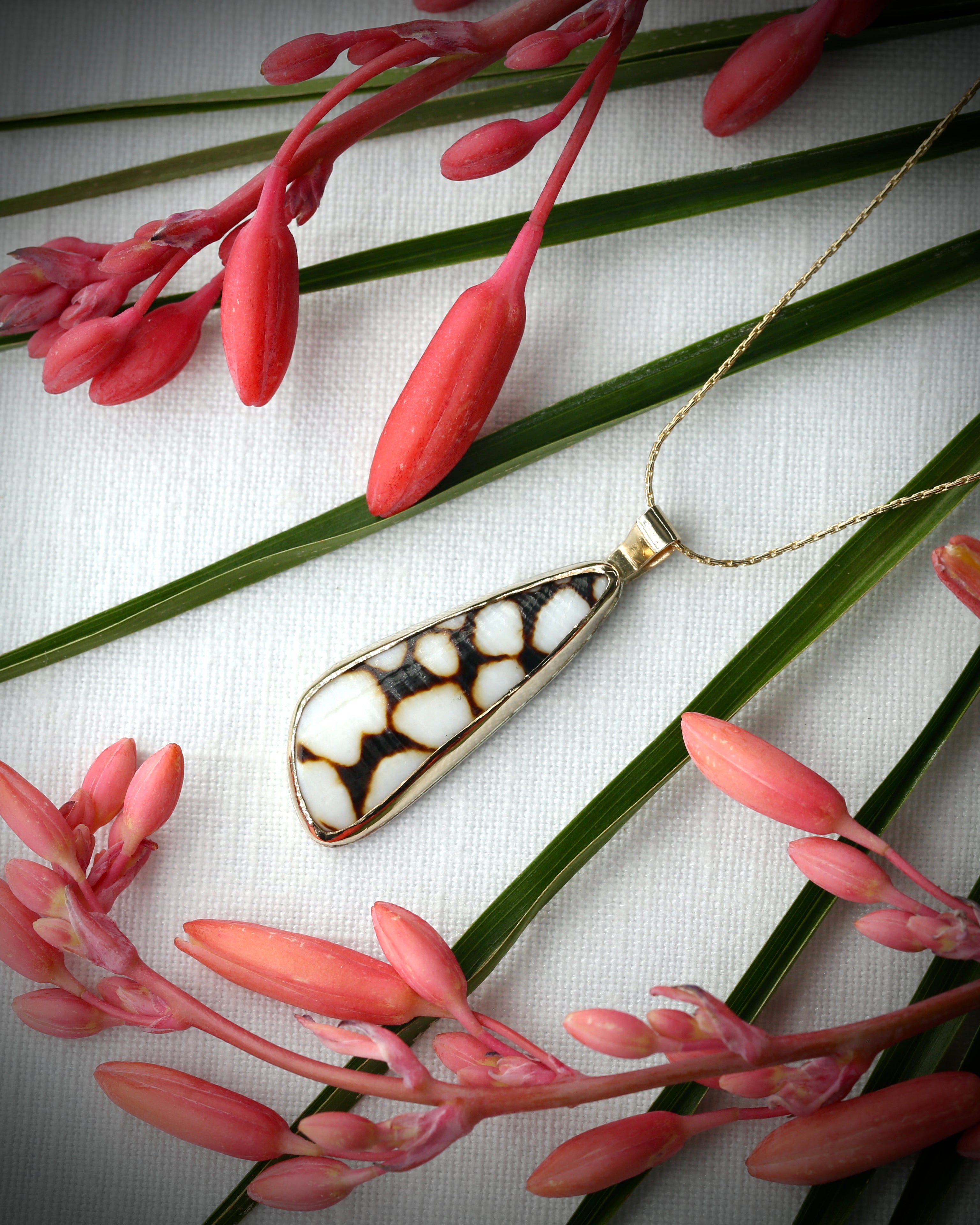 Hawaiian marbled cone shell pendant necklace in 14k gold fill