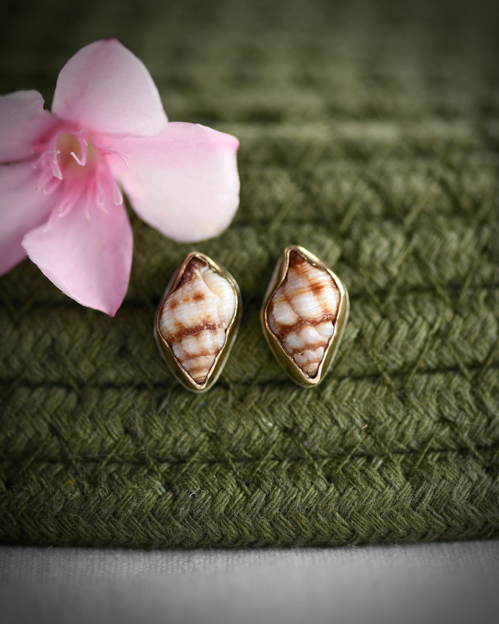 Little Seashell Stud Earrings