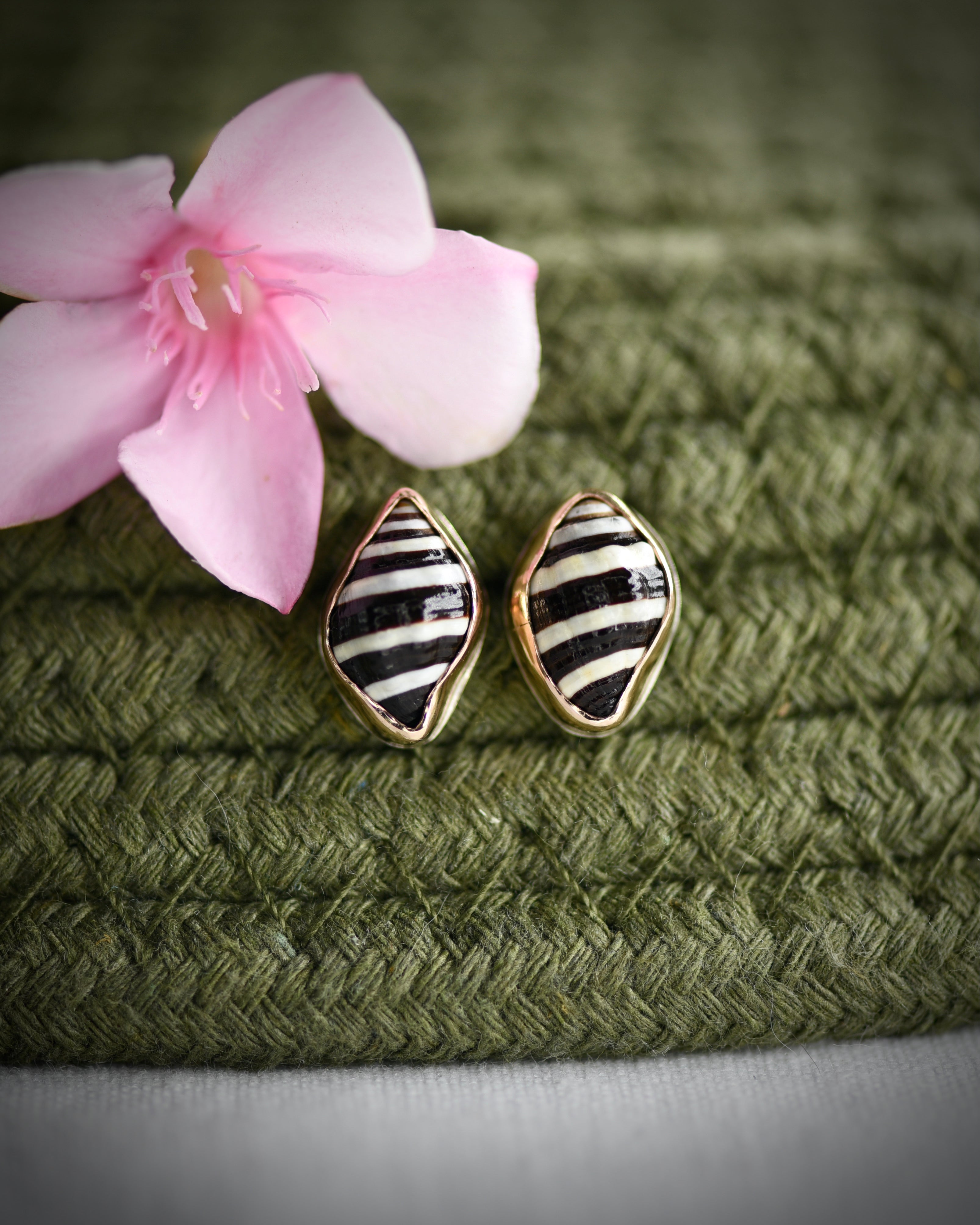 Little Seashell Stud Earrings