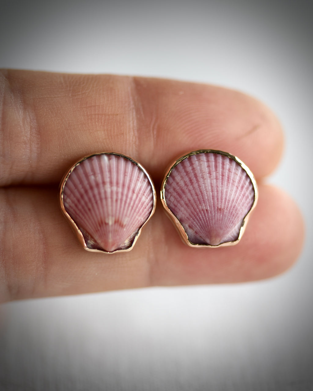 Pink Scallop Shell Stud Earrings