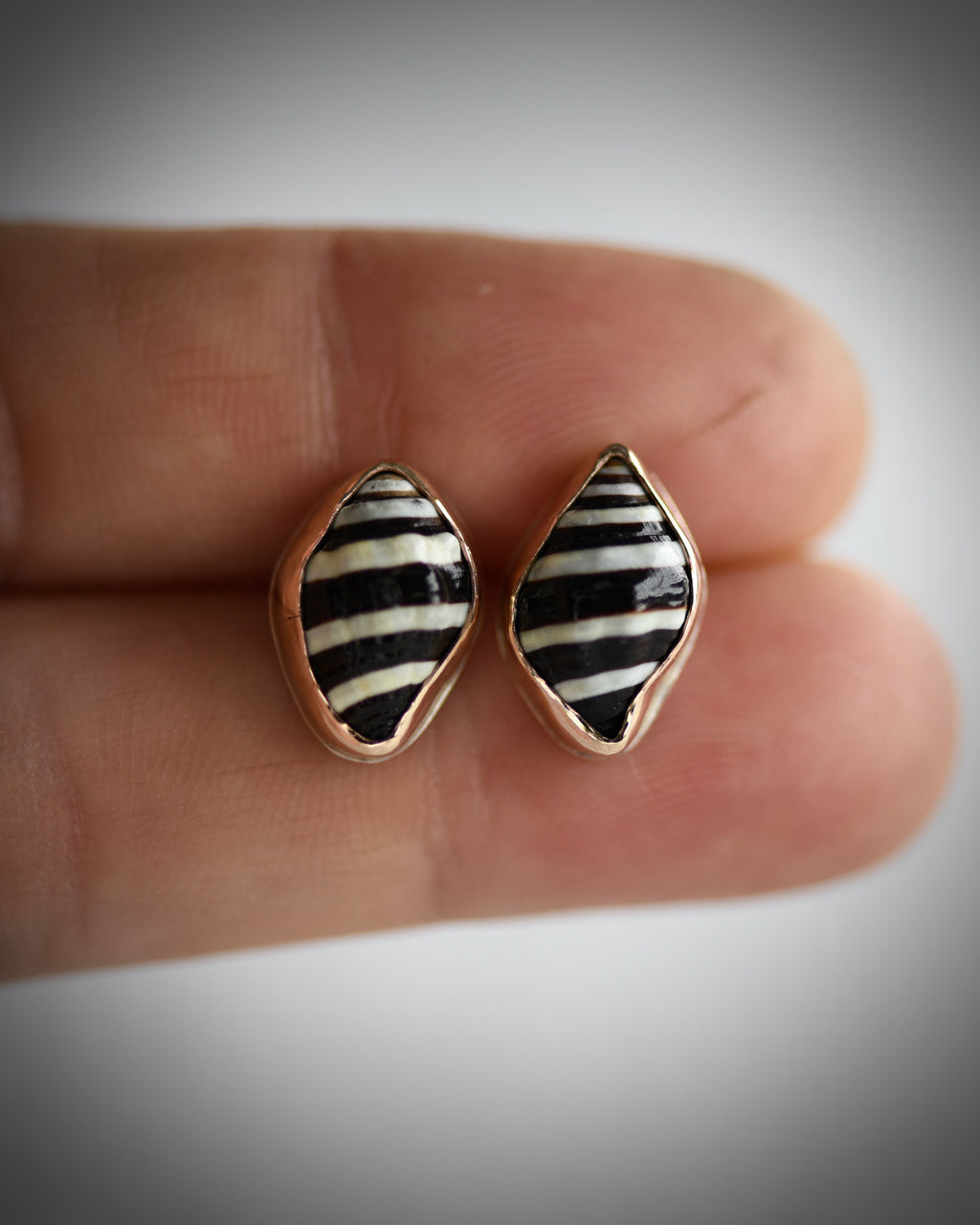 Little Seashell Stud Earrings