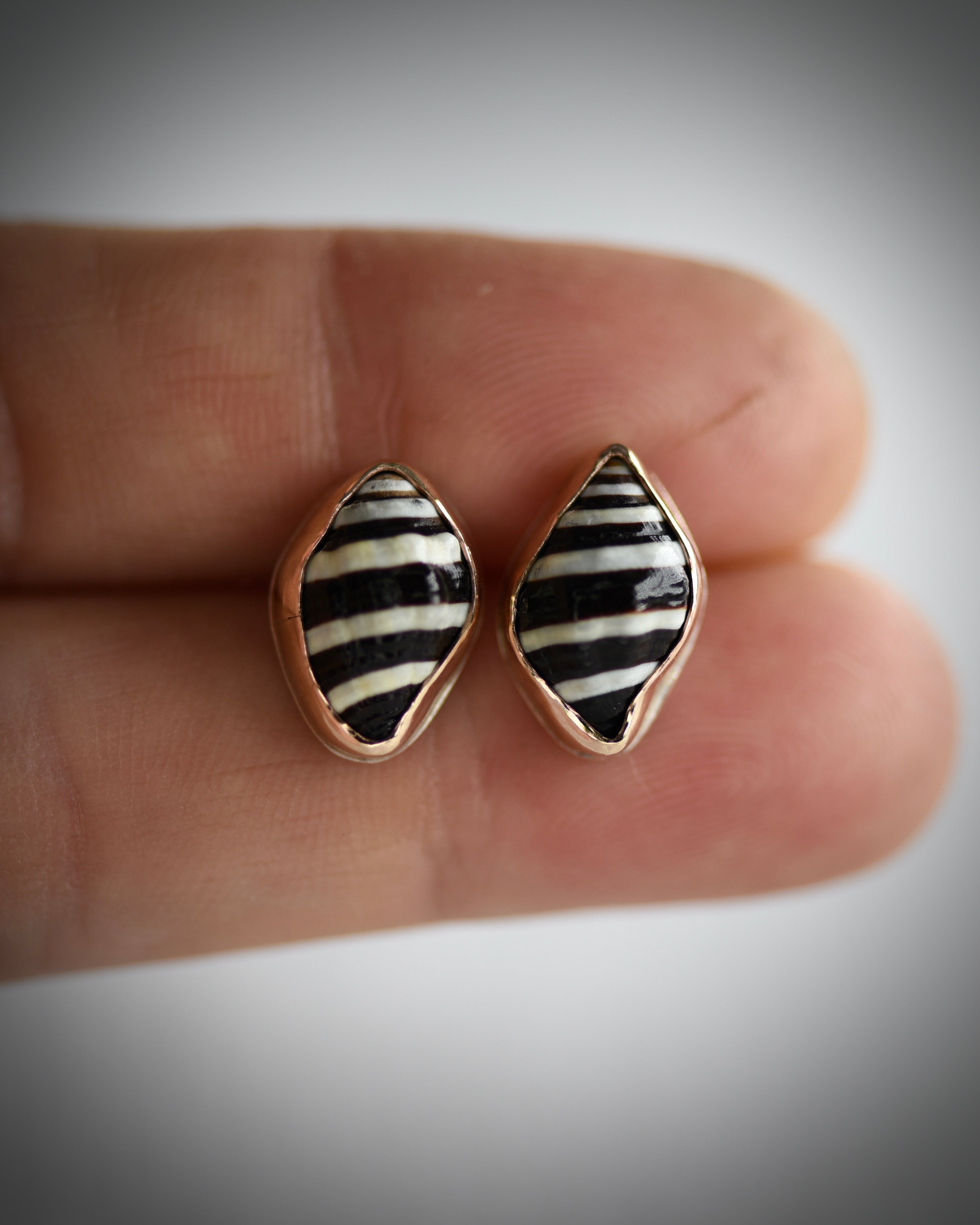 Little Seashell Stud Earrings