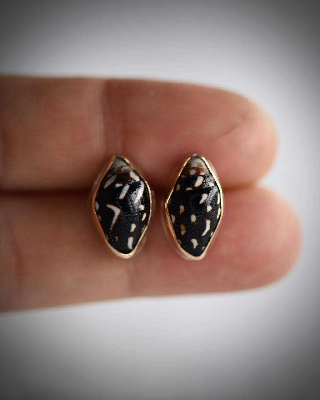 Little Seashell Stud Earrings
