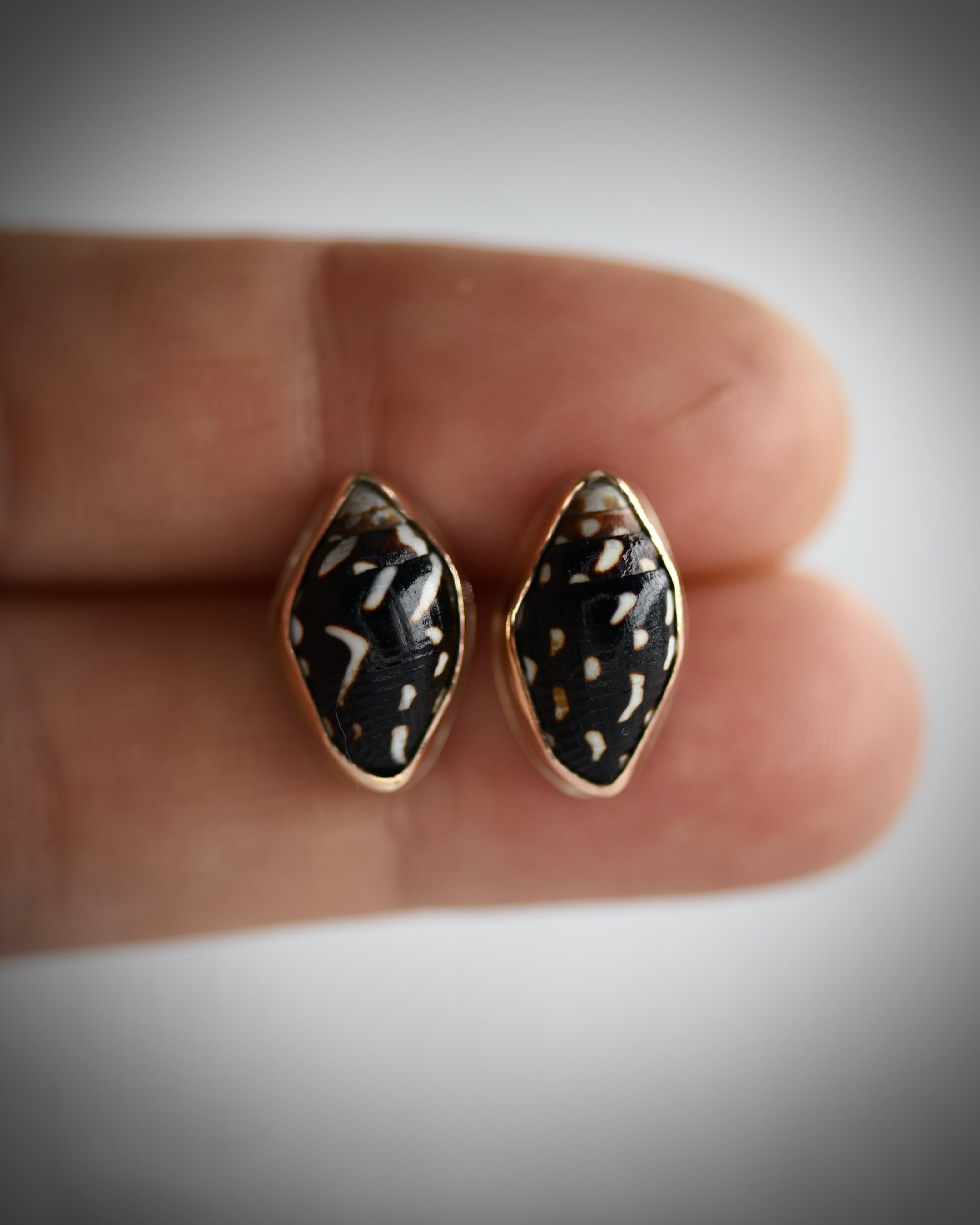 Little Seashell Stud Earrings