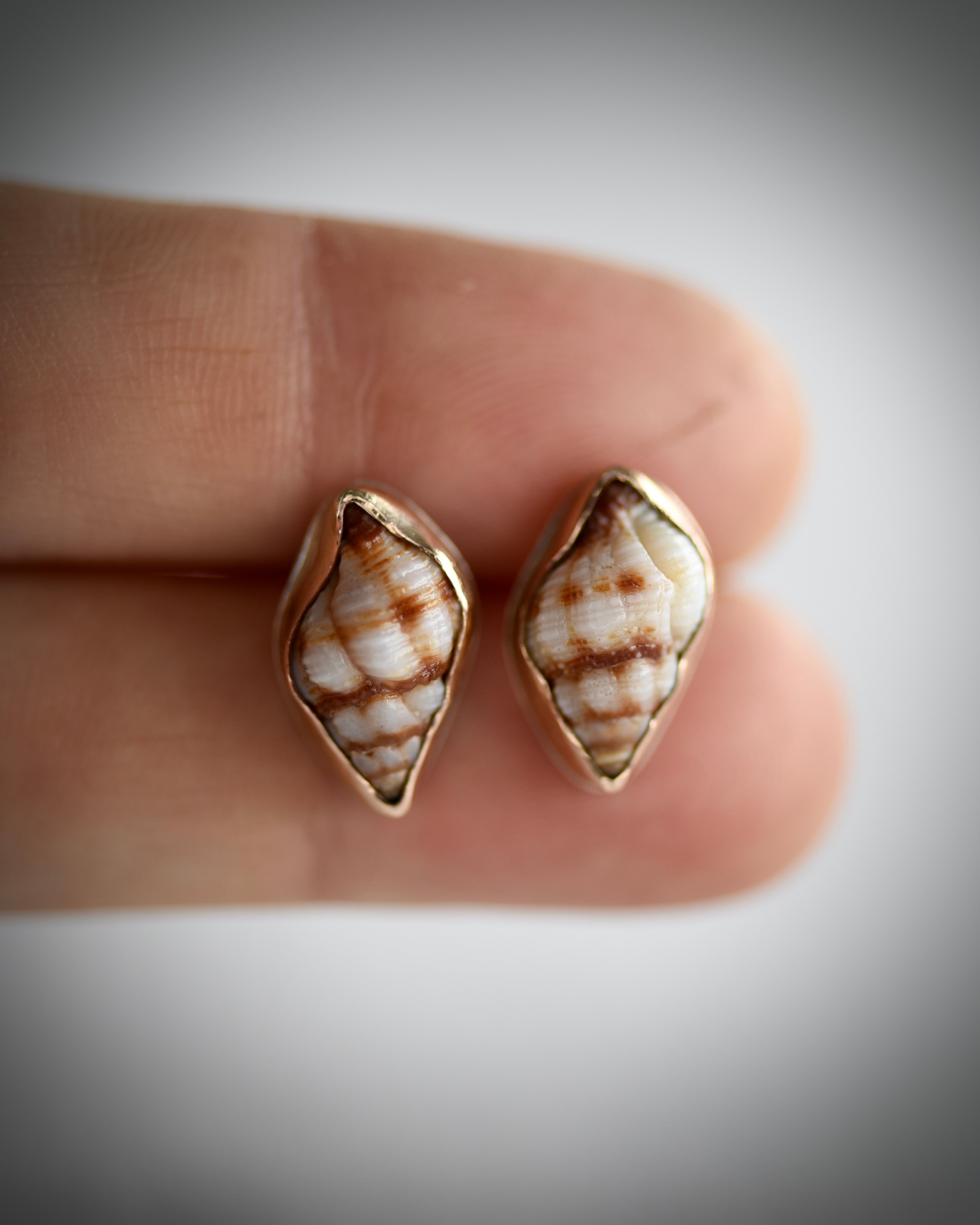 Little Seashell Stud Earrings