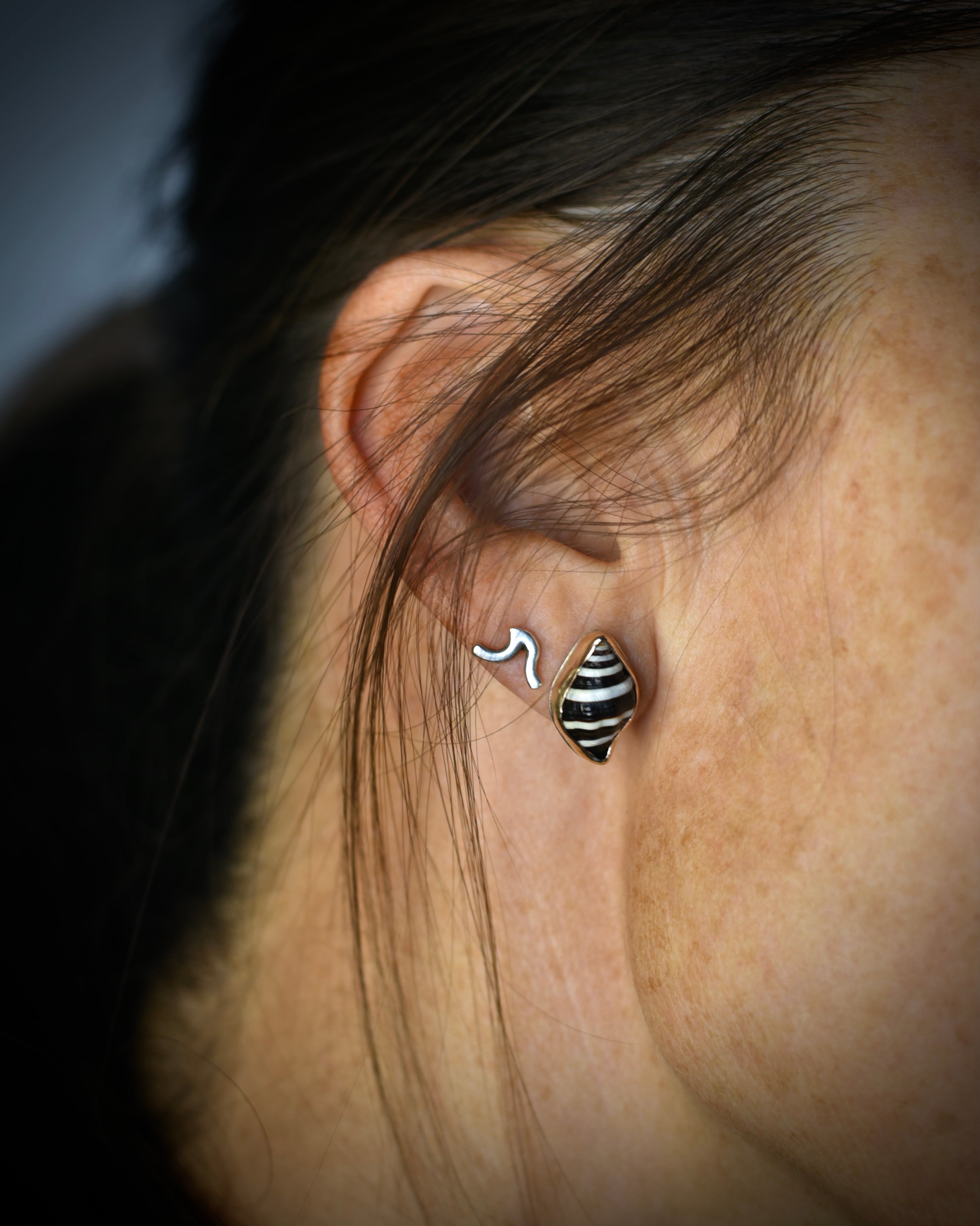 Little Seashell Stud Earrings