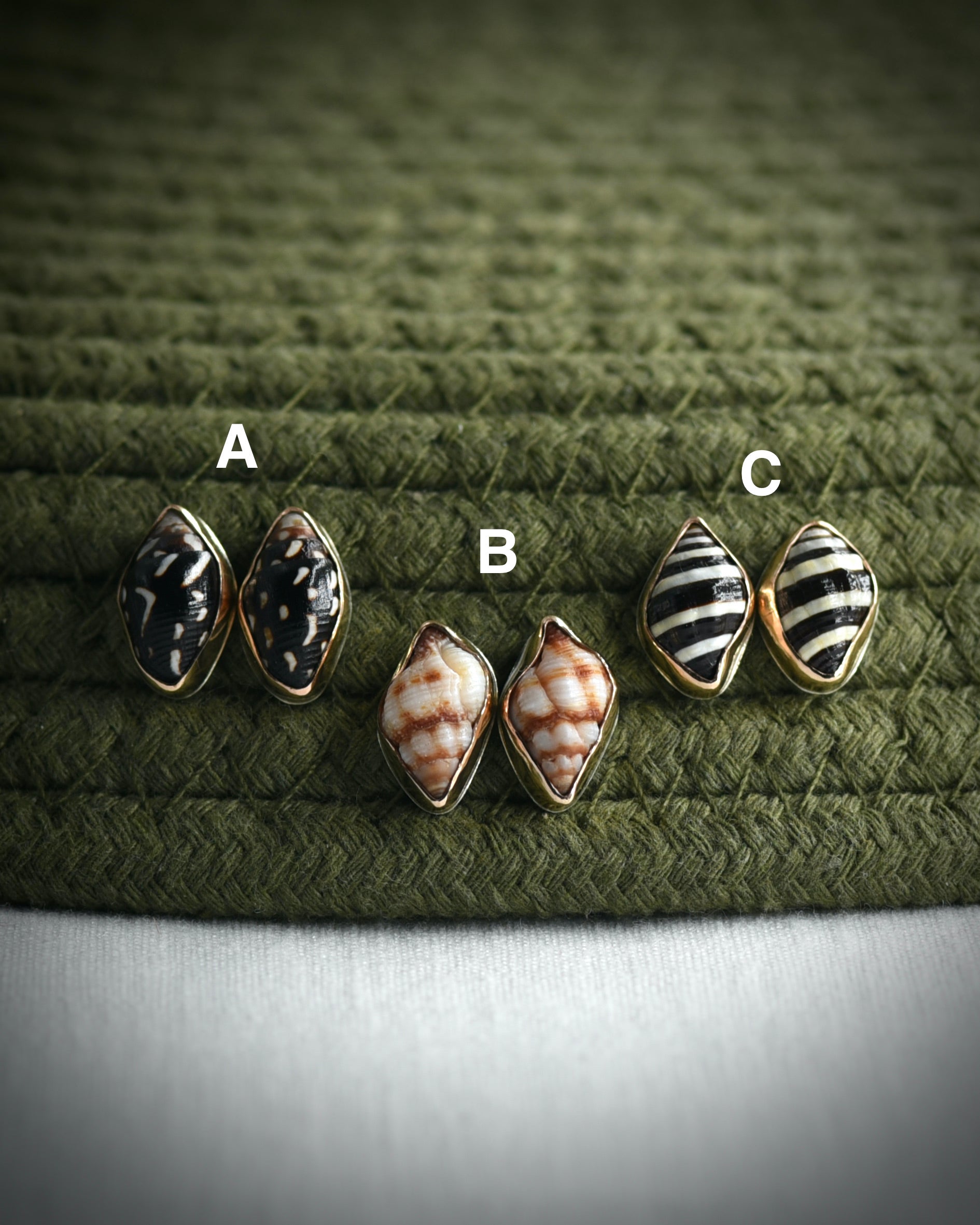 Little Seashell Stud Earrings