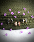 Little Seashell Stud Earrings