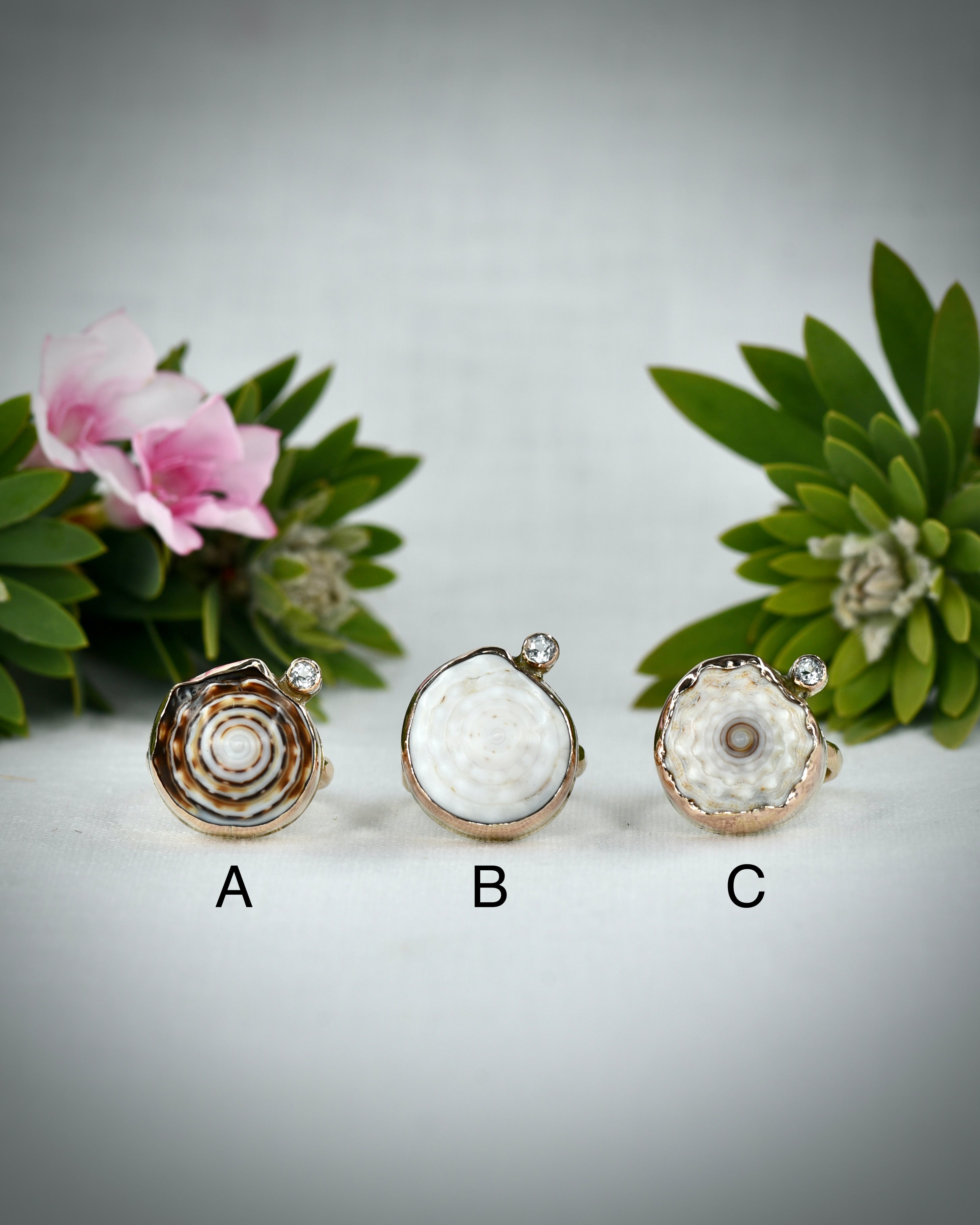 Hawaiian puka shell ring options A through C displayed side by side for comparison
