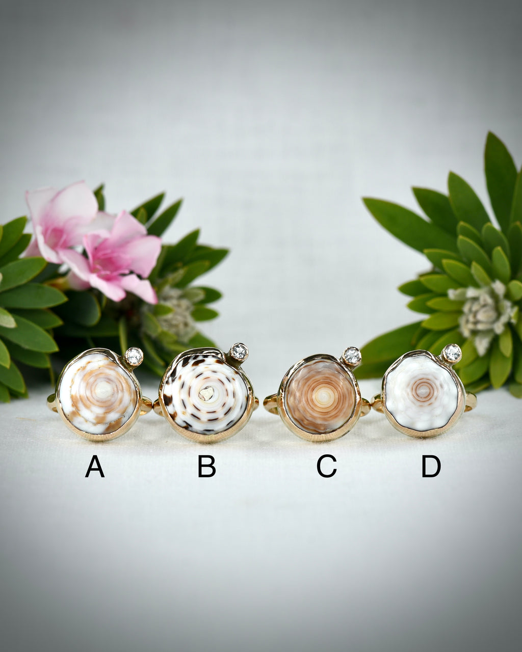 Hawaiian puka shell ring options A through D displayed side by side for comparison