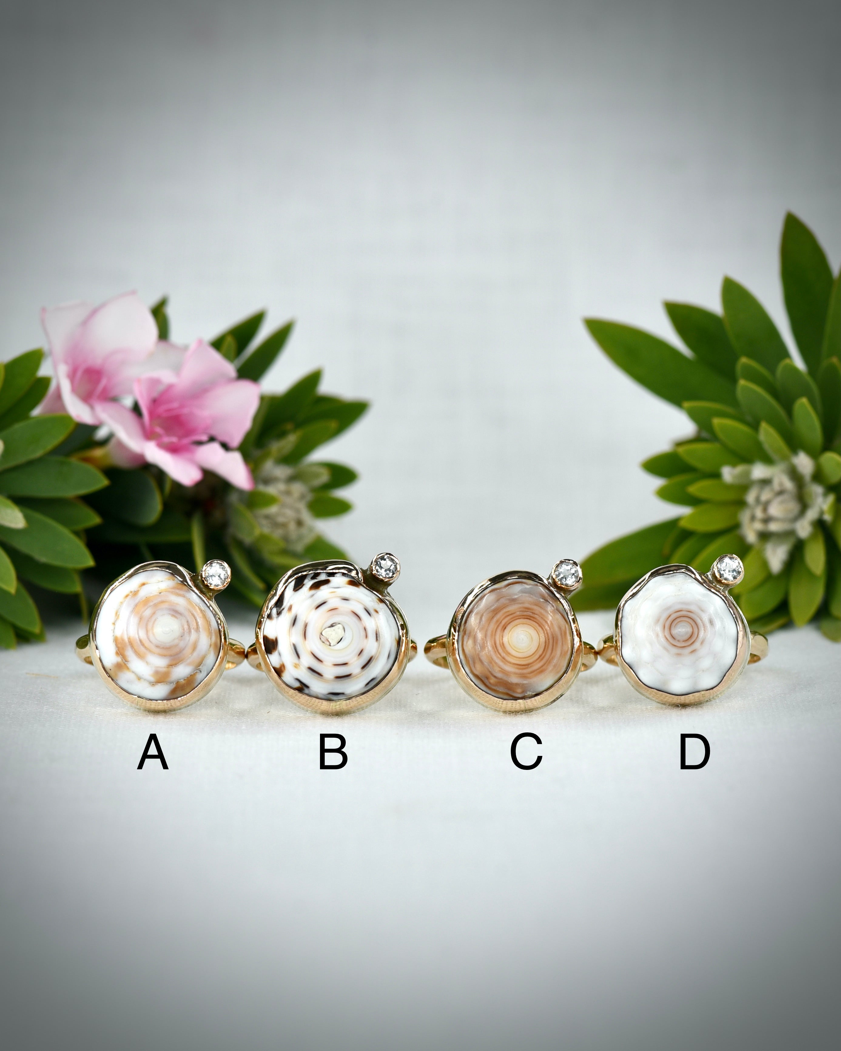 Hawaiian puka shell ring options A through D displayed side by side for comparison
