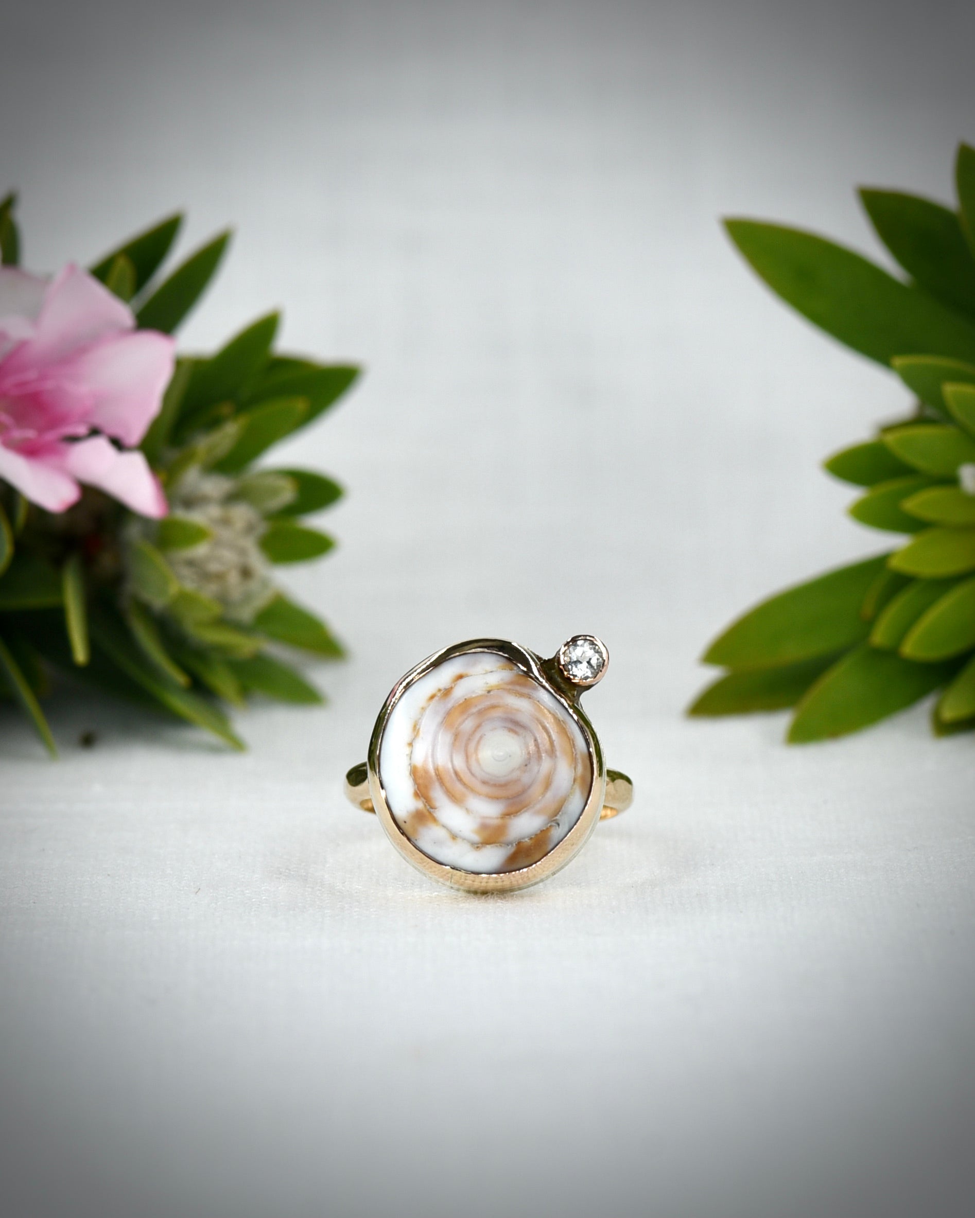 Front view of cream and brown Hawaiian puka shell ring displayed among tropical flowers
