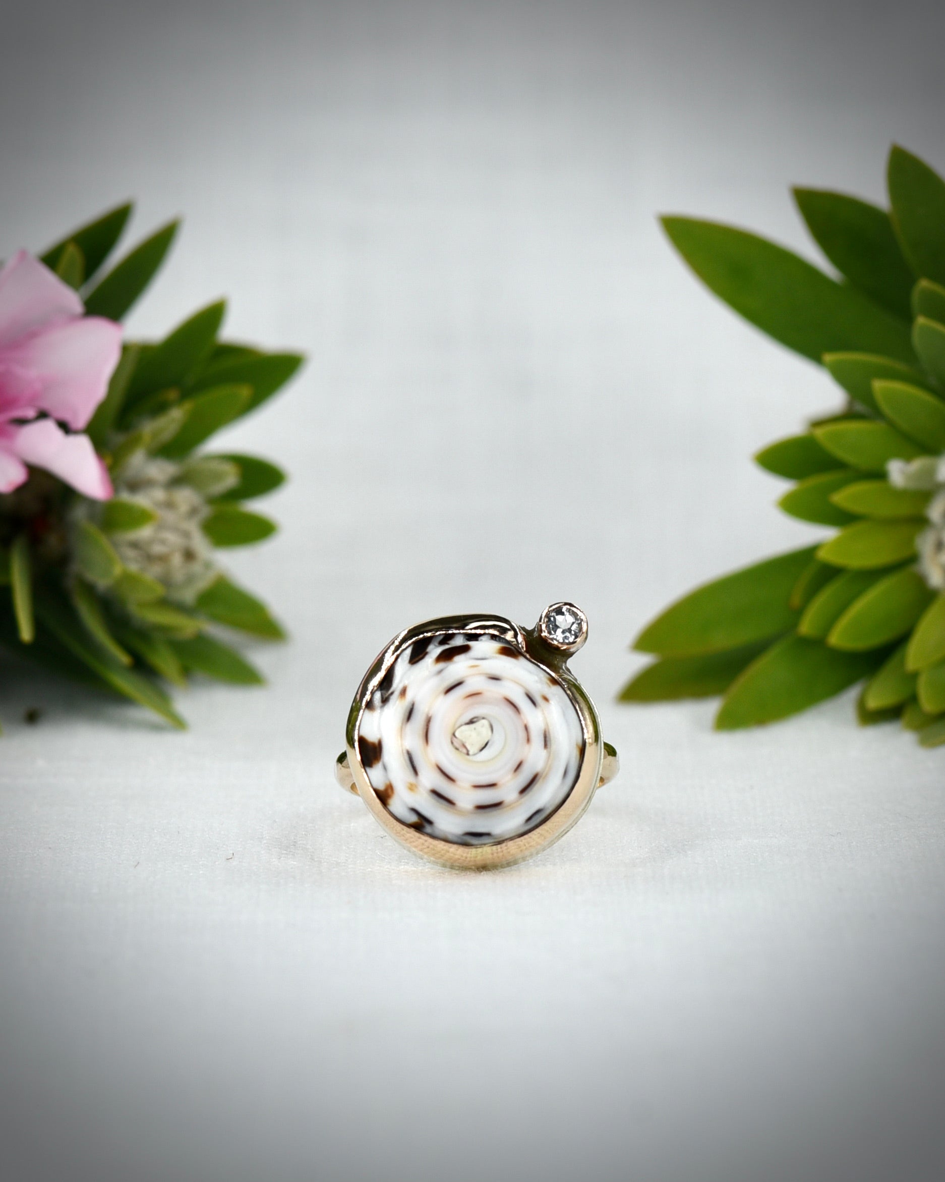 Front view of white and brown patterned Hawaiian puka shell ring displayed among tropical flowers