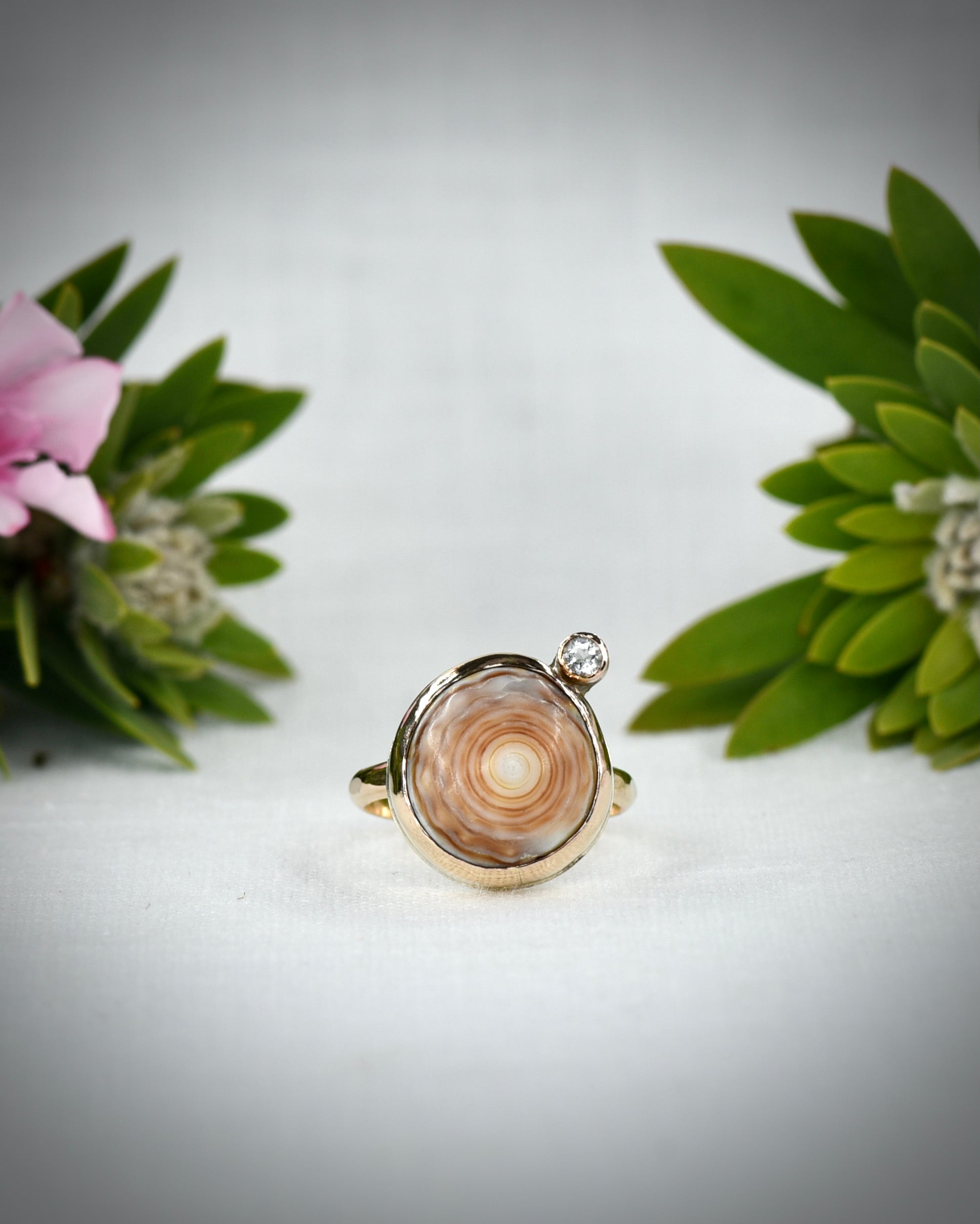 Front view of warm tan Hawaiian puka shell ring displayed among tropical flowers
