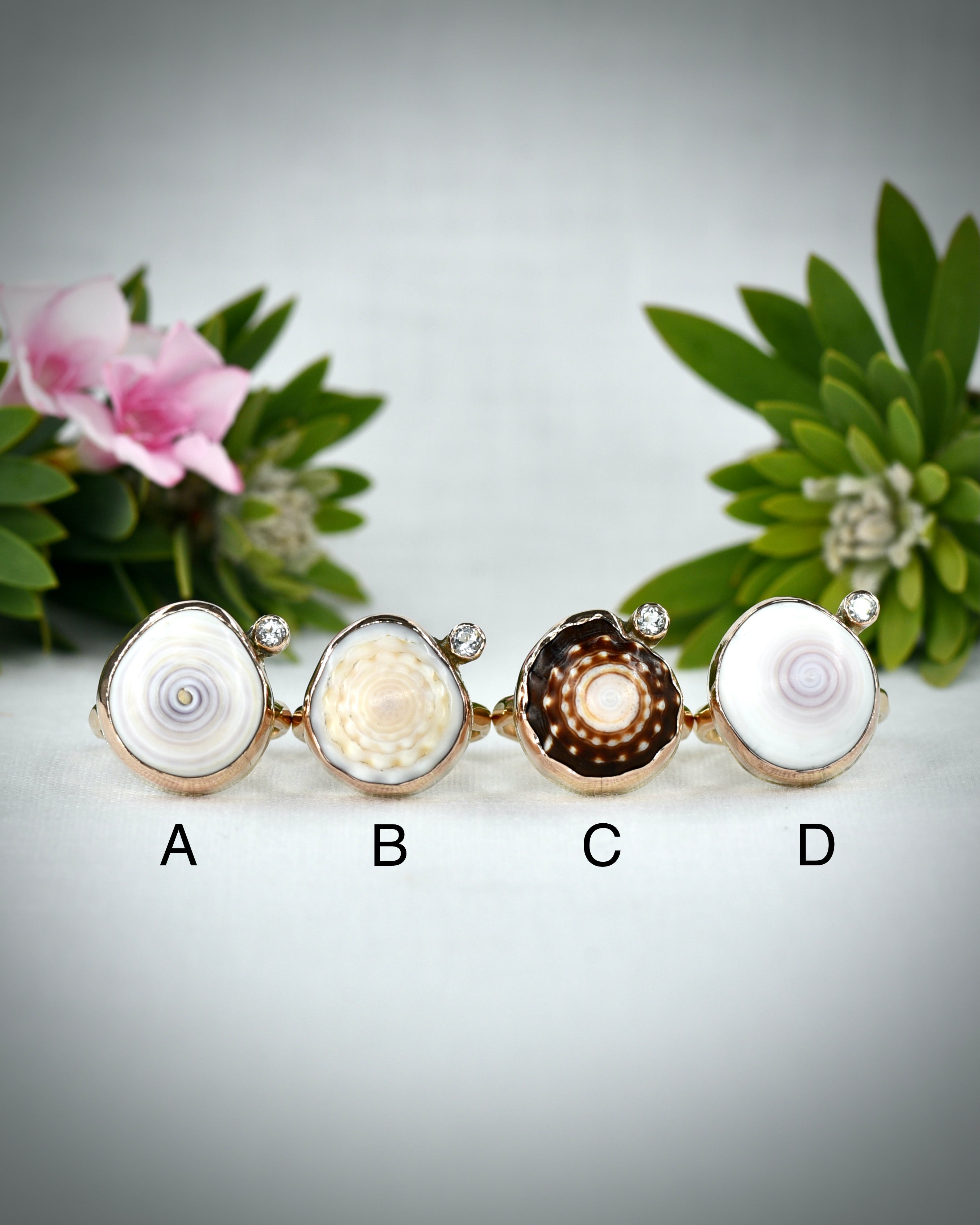 Hawaiian puka shell ring options A through D displayed side by side for comparison