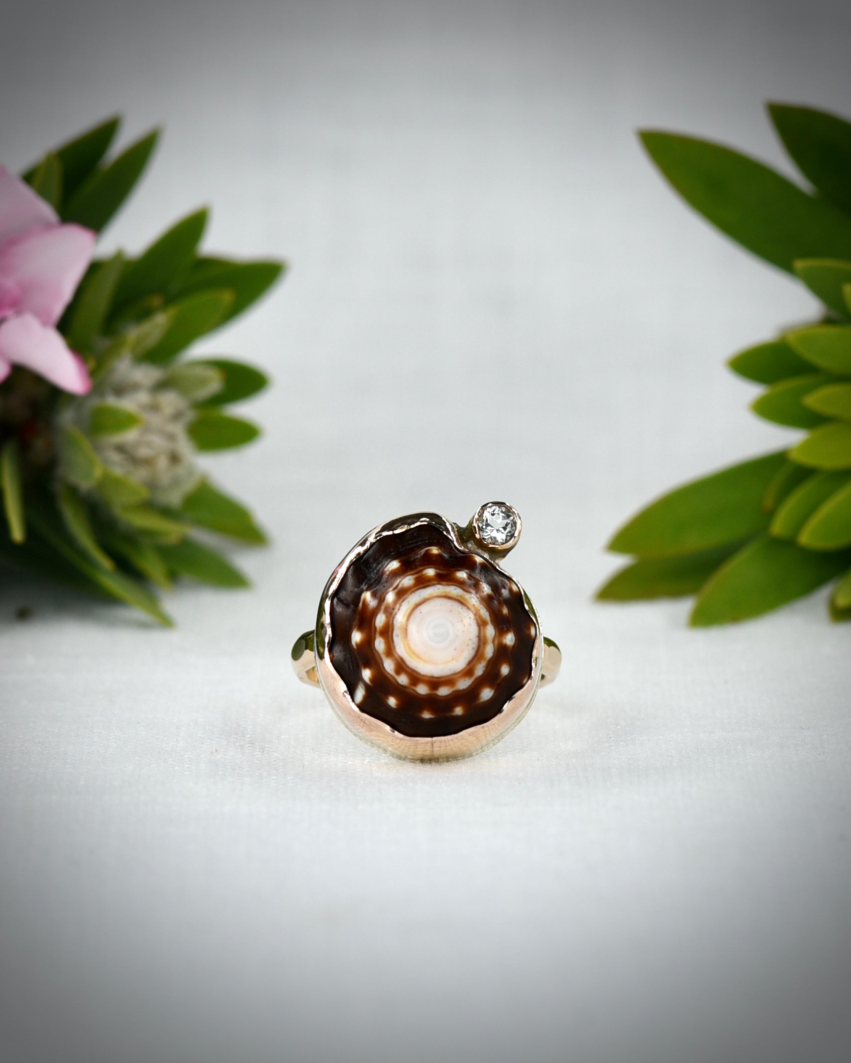 Front view of dark brown and cream Hawaiian puka shell ring displayed among tropical flowers