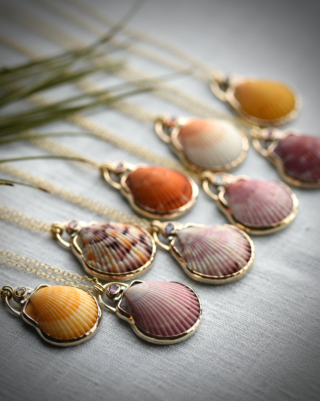 Assortment of natural scallop shell pendants displayed together beneath palm leaves
