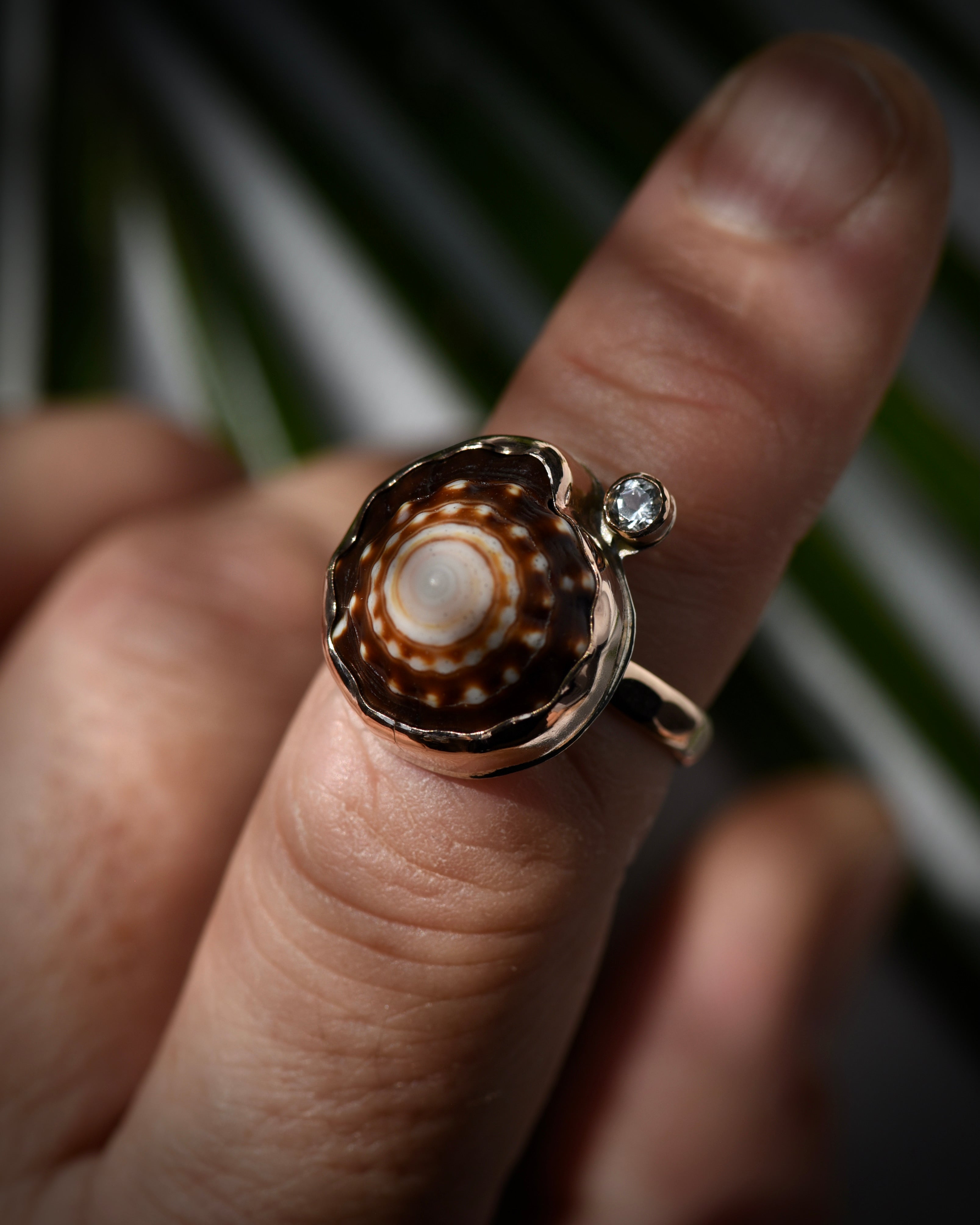 Dark brown and cream Hawaiian puka shell ring worn on the finger, showing the bold natural pattern
