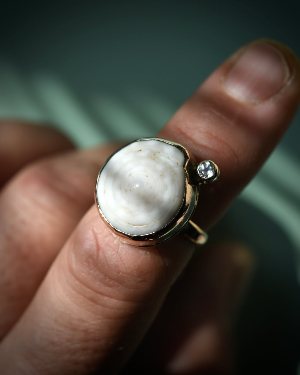 Hawaiian puka shell ring showing the smooth natural shell surface and gold-filled band
