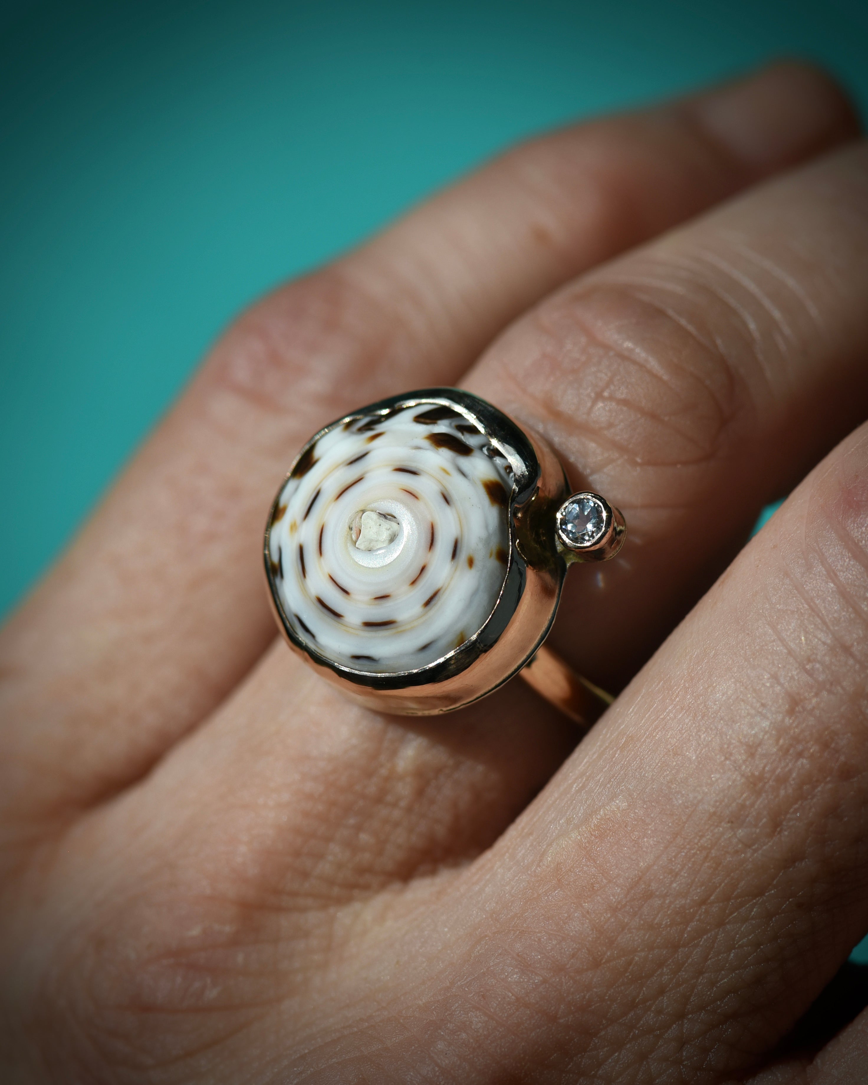 White and brown patterned Hawaiian puka shell ring worn on the finger

