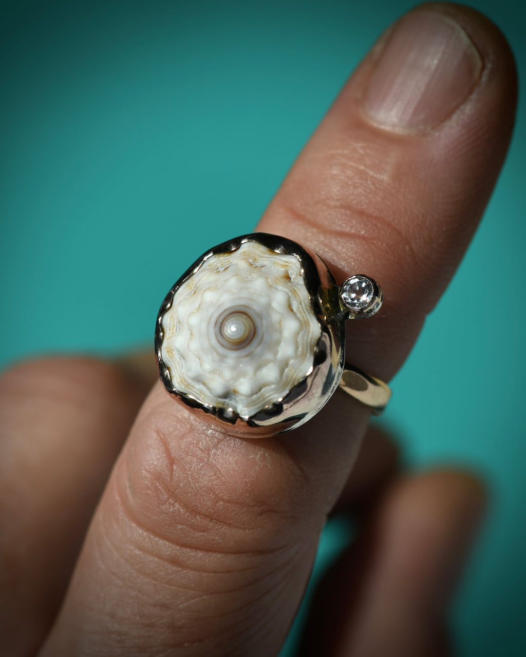White Hawaiian puka shell and topaz ring worn on the finger, showing the natural shell texture