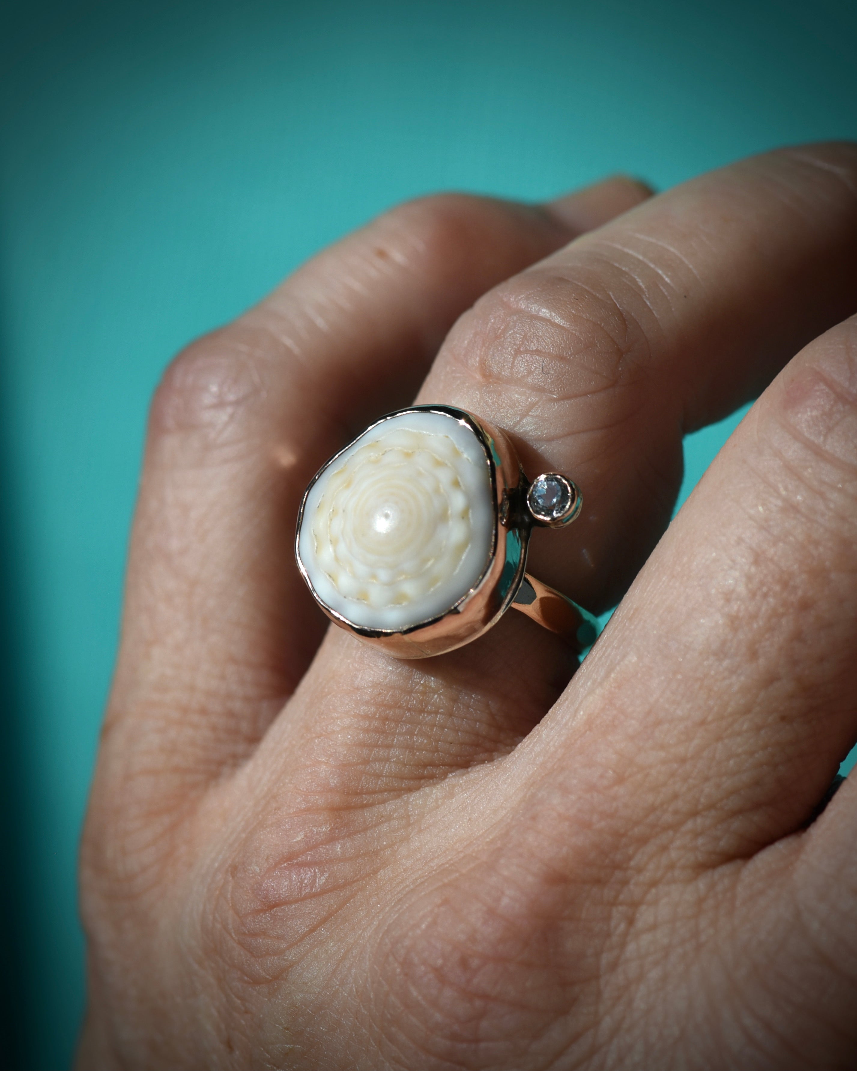 Cream Hawaiian puka shell ring worn on the finger, showing the natural shell texture
