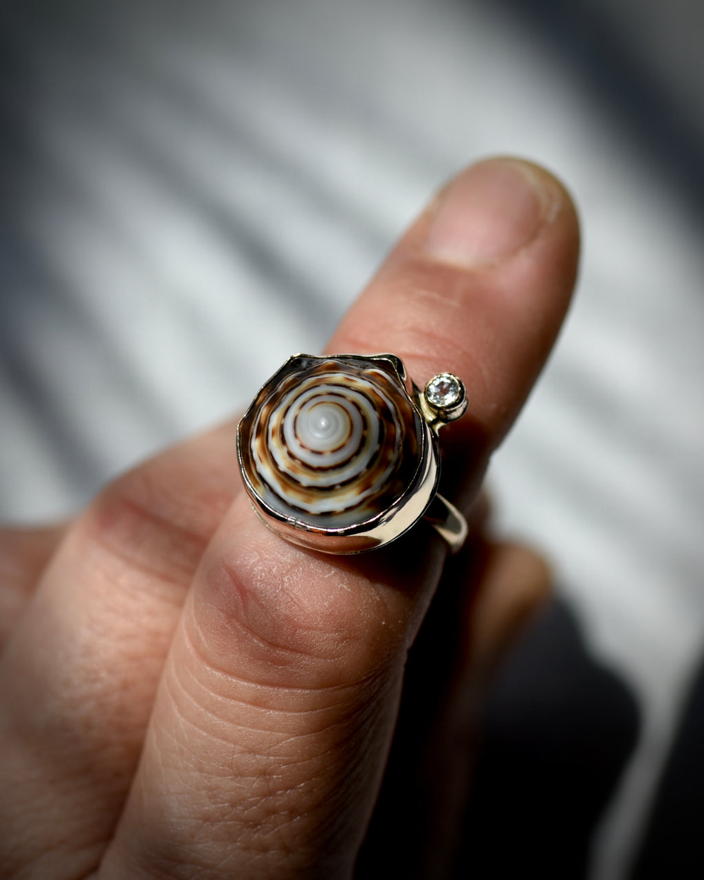 Brown and cream Hawaiian puka shell ring worn on the finger, showing the natural concentric shell pattern