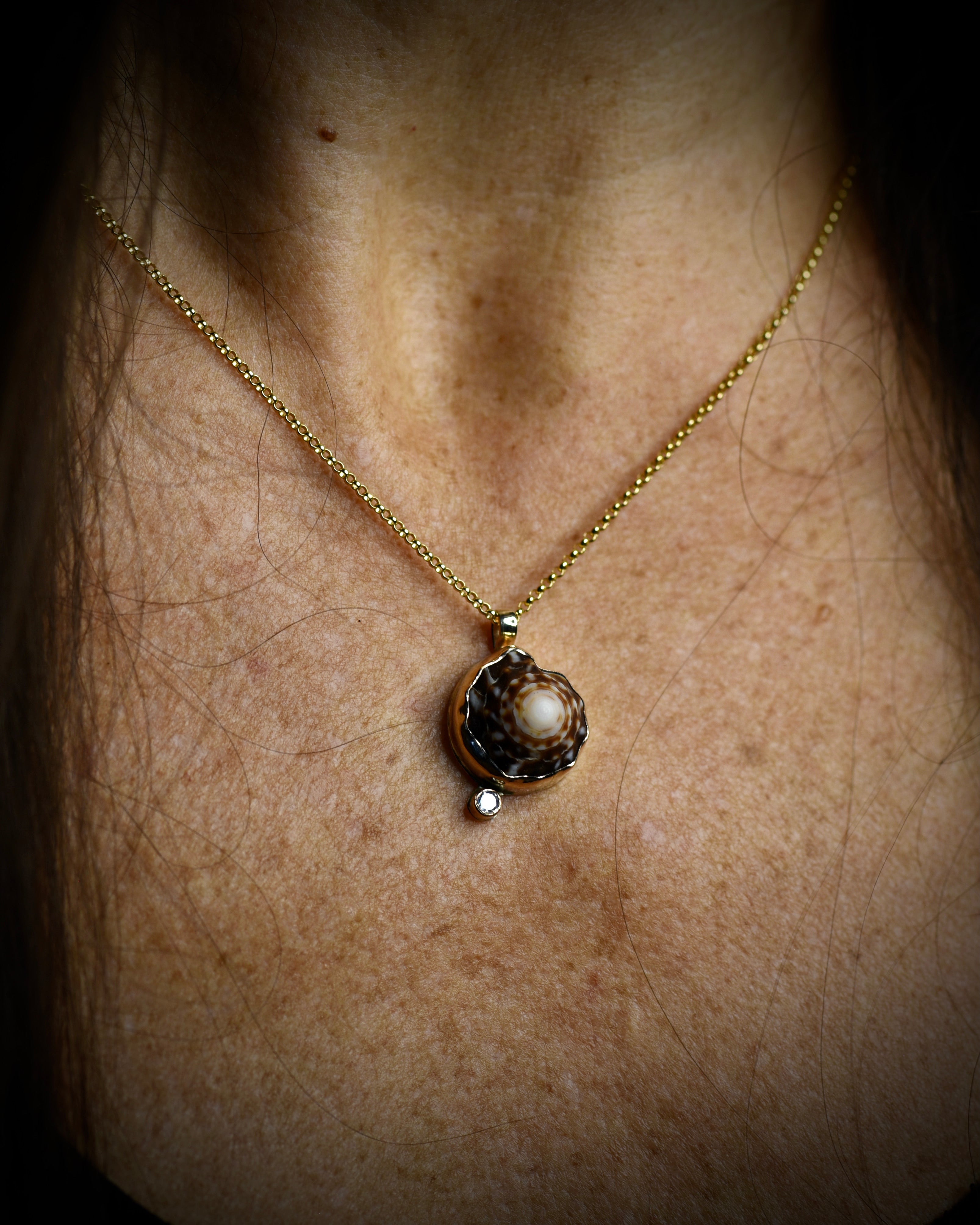 Petite Puka Dot necklace with dark brown and cream Hawaiian puka shell and topaz accent worn on an 18-inch gold-filled chain