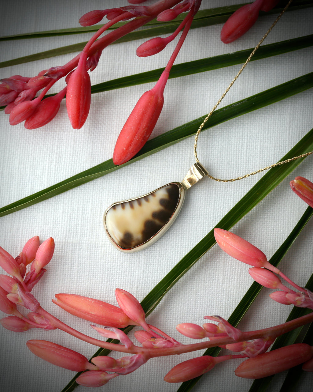 Hawaiian tiger cowry shell pendant necklace in 14k gold fill