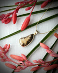 Hawaiian tiger cowry shell pendant necklace in 14k gold fill
