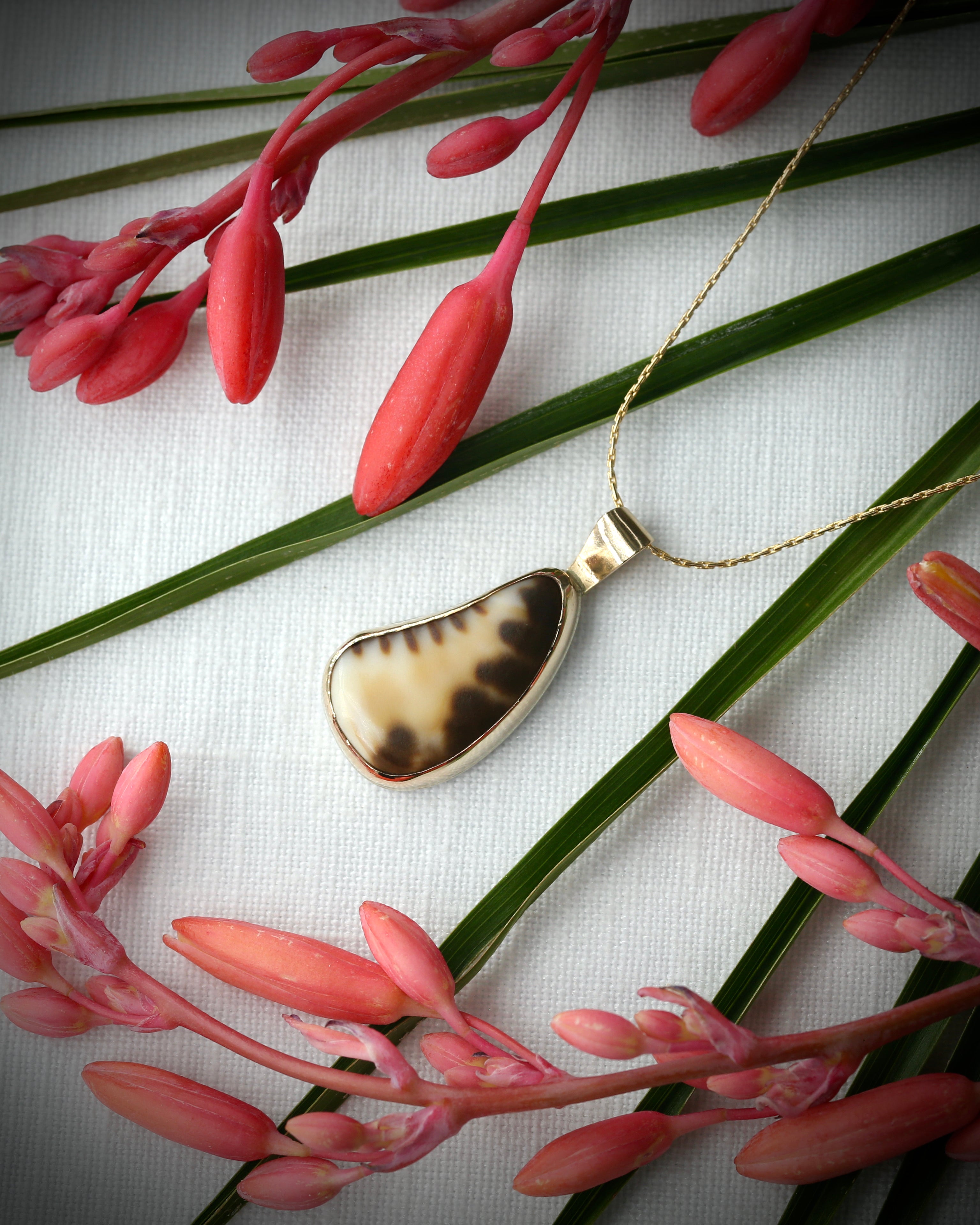 Hawaiian tiger cowry shell pendant necklace in 14k gold fill