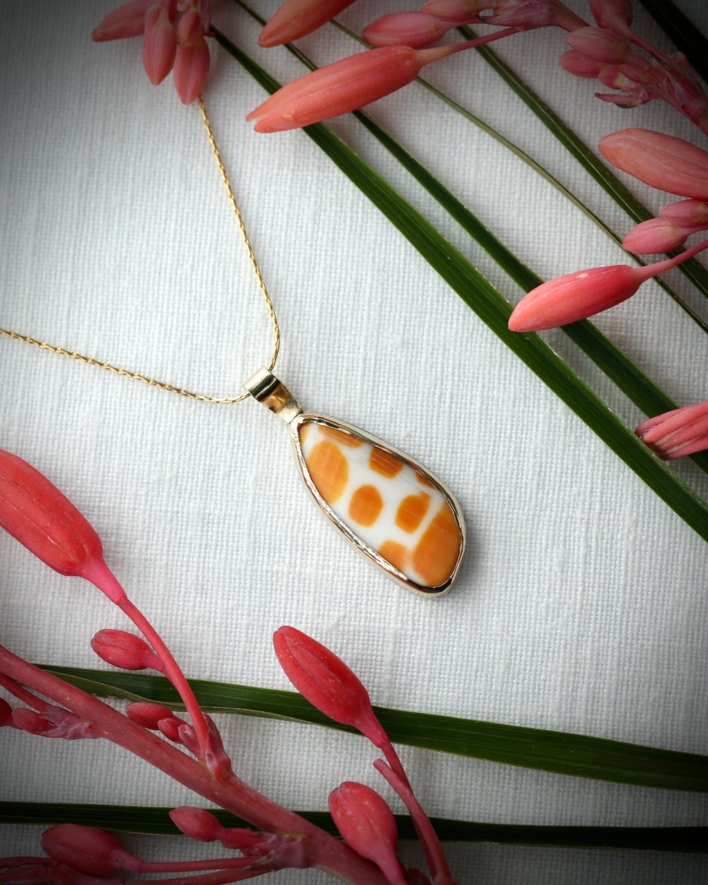 Hawaiian Miter Shell Driftbit Necklace - 14k Gold Filled