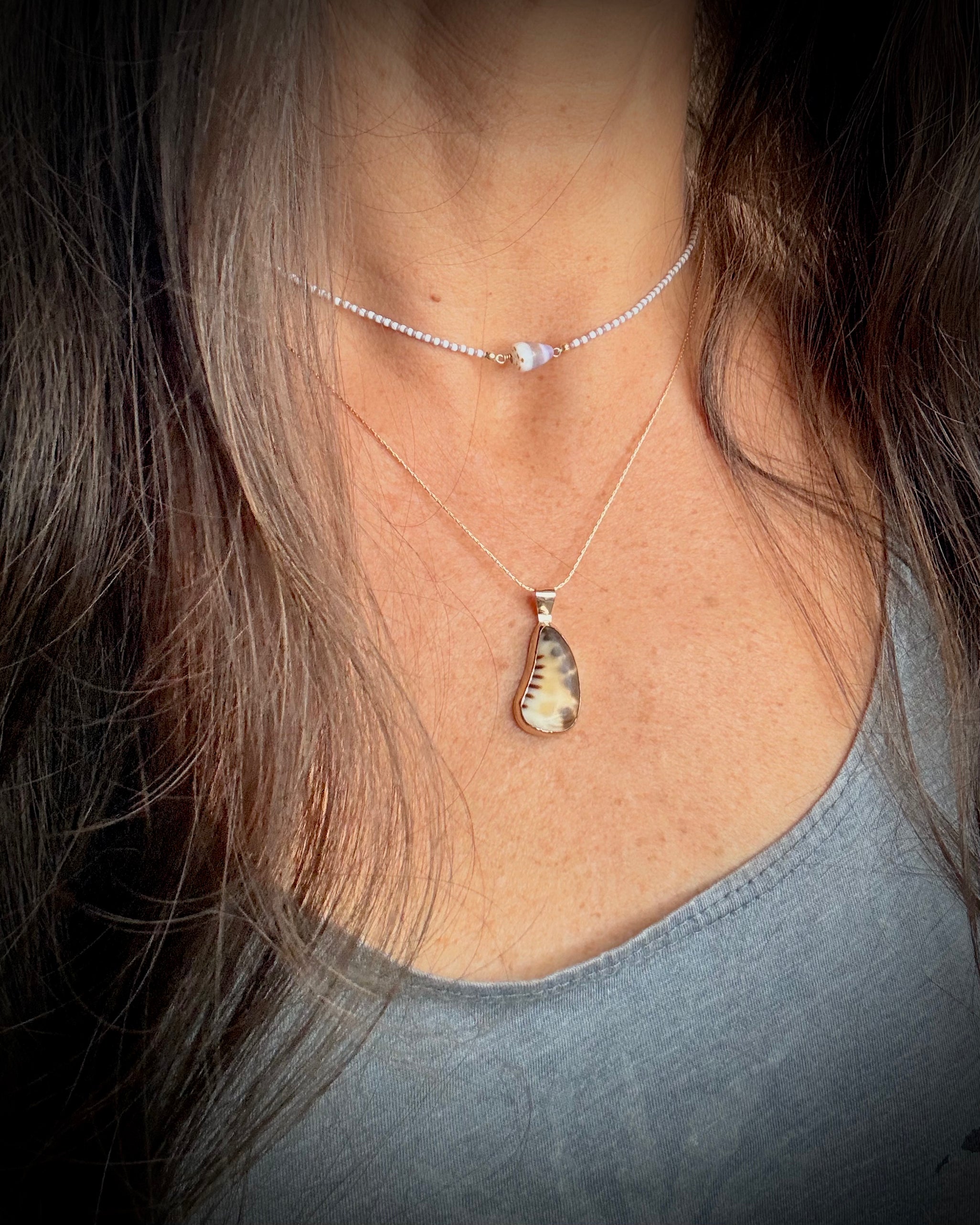 Hawaiian Tiger Cowry Driftbit Necklace - 14k Gold Filled