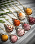 Collection of colorful natural scallop shell pendant necklaces in pink, orange, yellow, cream, and patterned tones