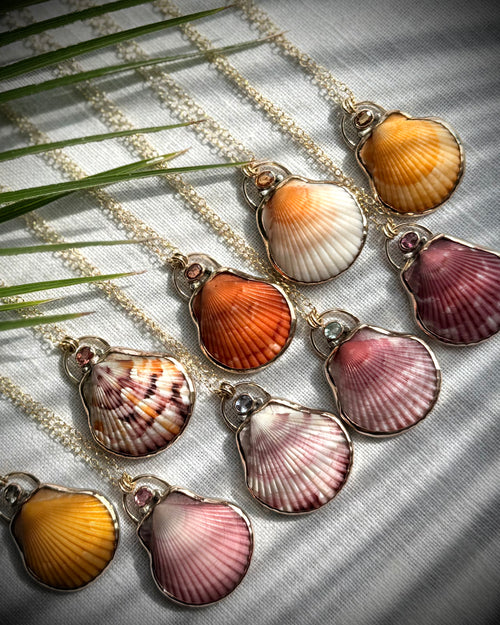 Collection of colorful natural scallop shell pendant necklaces in pink, orange, yellow, cream, and patterned tones