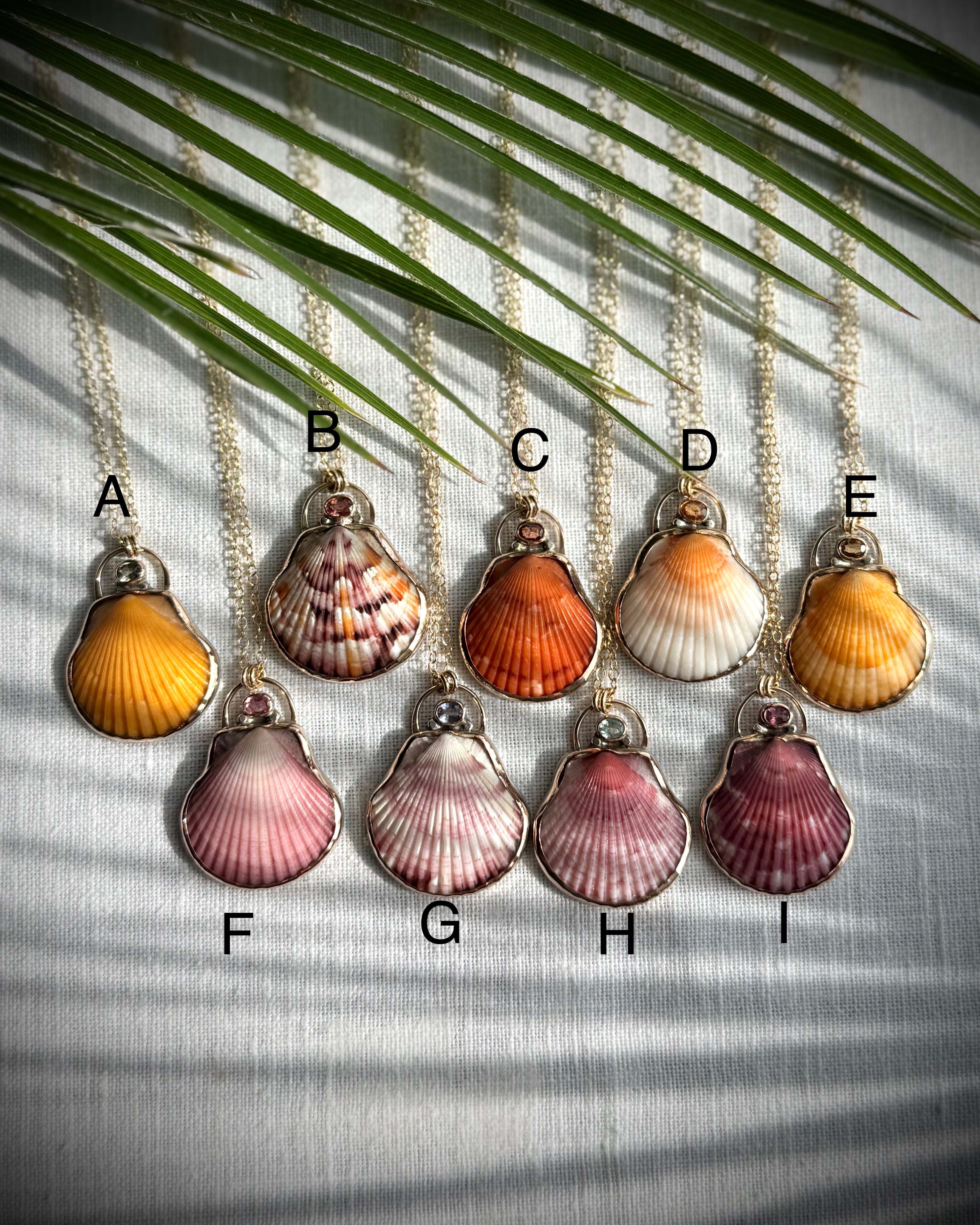 Scallop shell necklace options A through I displayed together for comparison