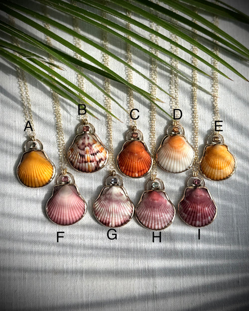 Scallop shell necklace options A through I displayed together for comparison