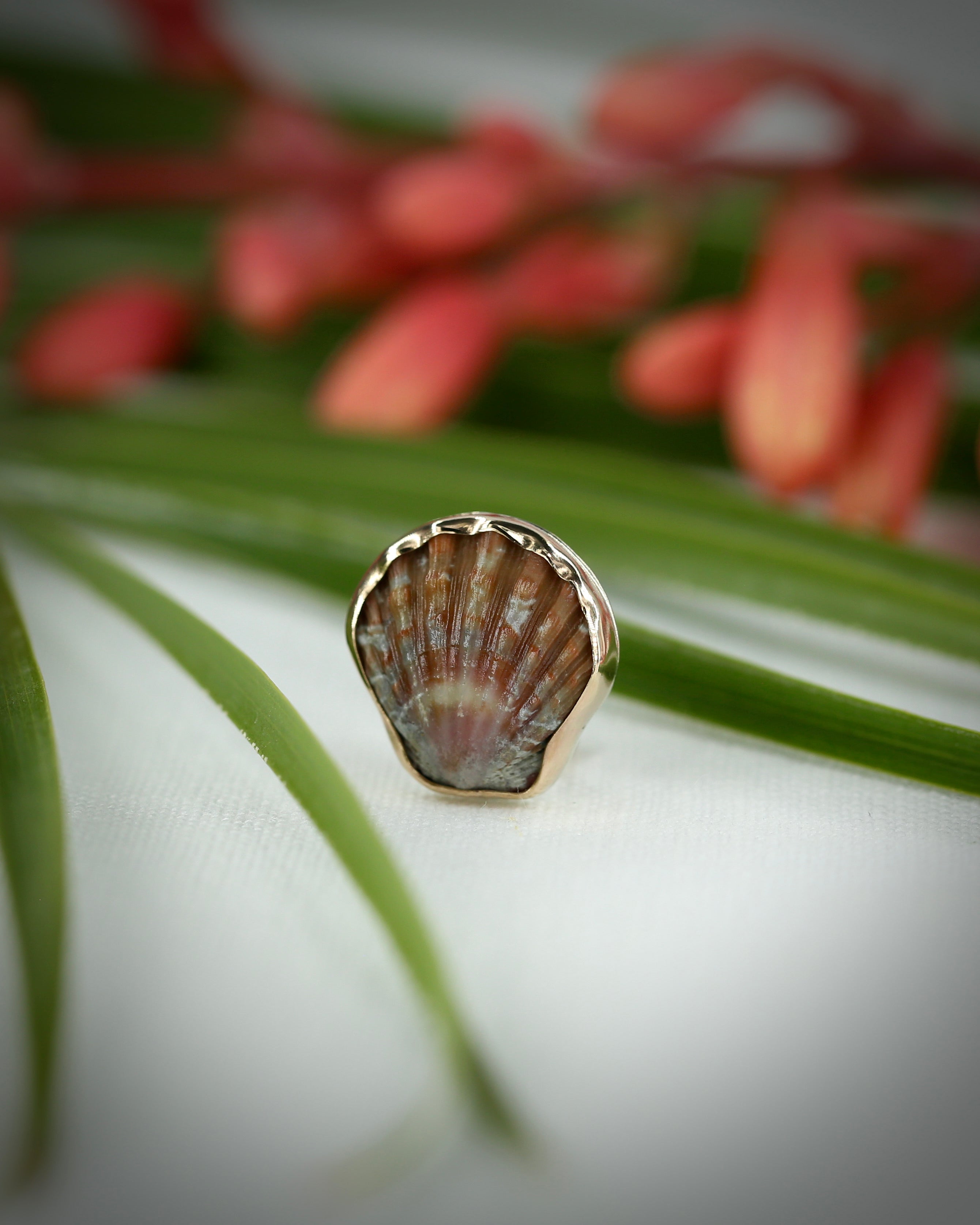 Sunrise Shell Ear Cuffs