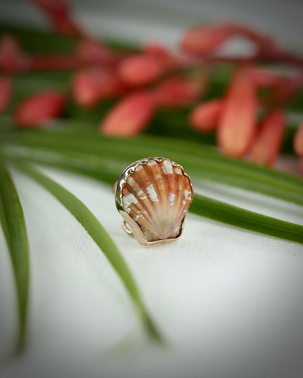 Sunrise Shell Ear Cuffs