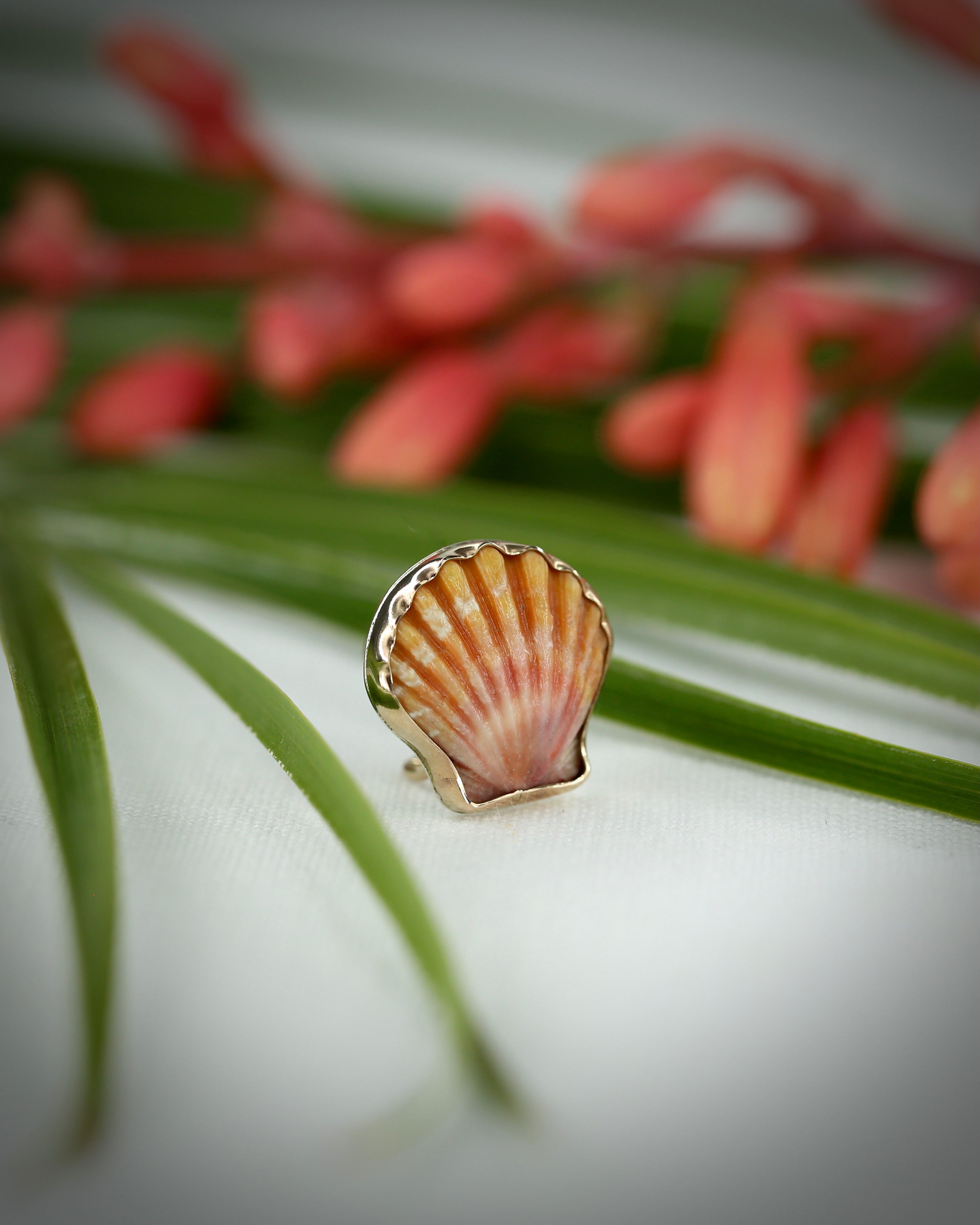 Sunrise Shell Ear Cuffs