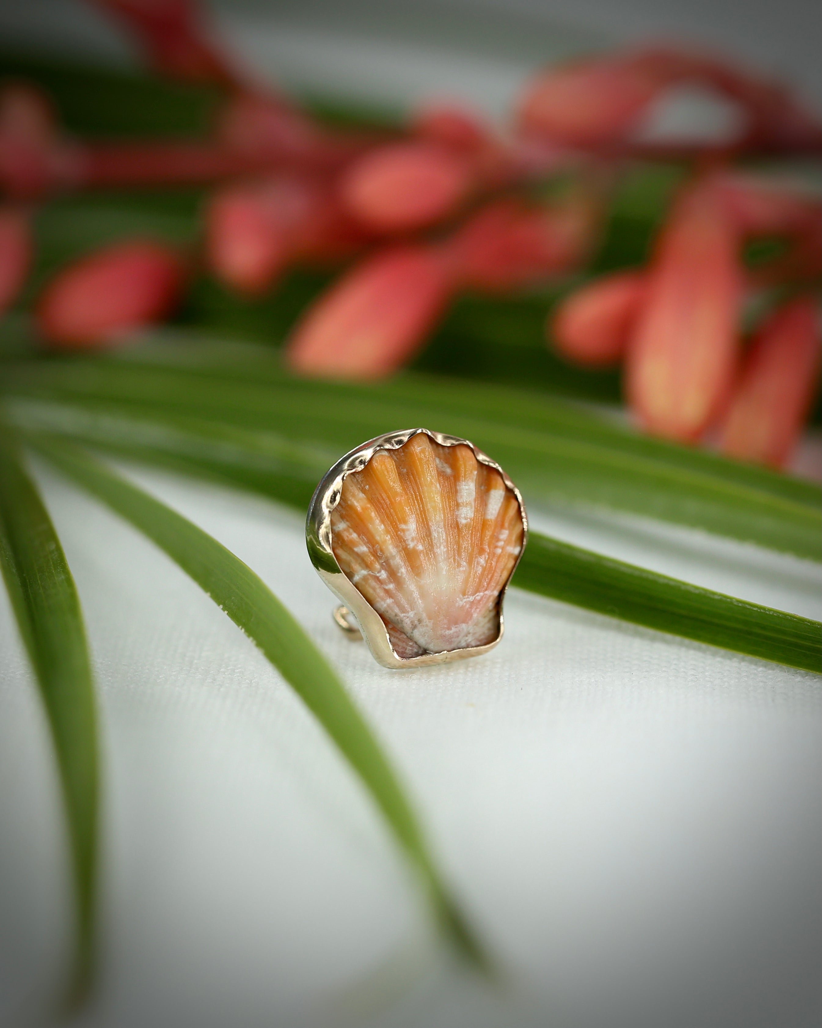 Sunrise Shell Ear Cuffs