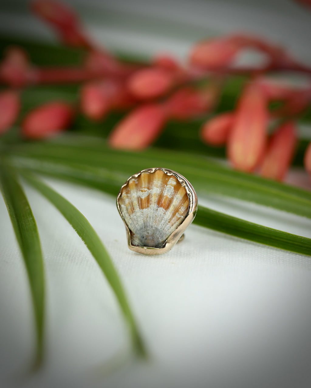 Sunrise Shell Ear Cuffs