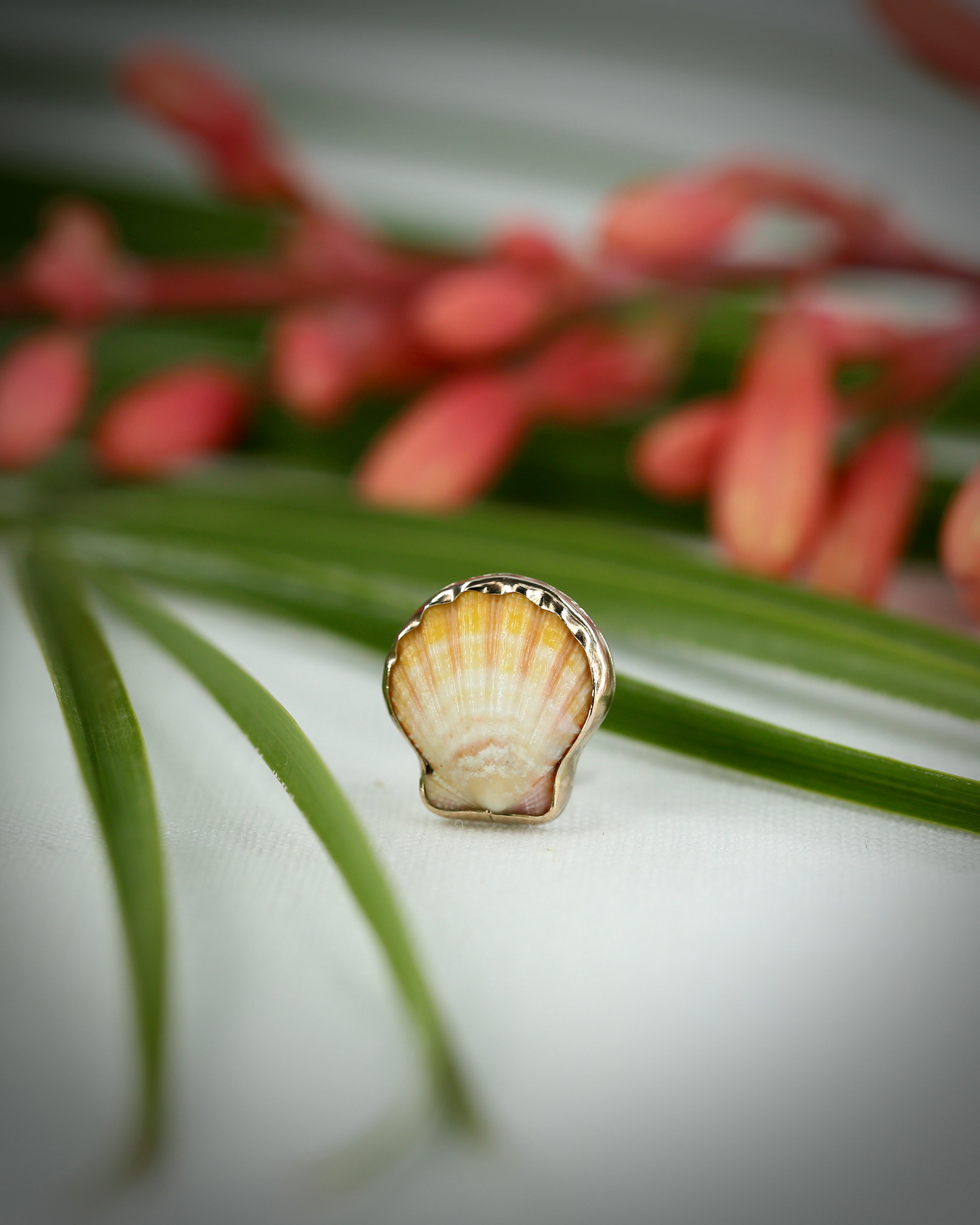 Sunrise Shell Ear Cuffs