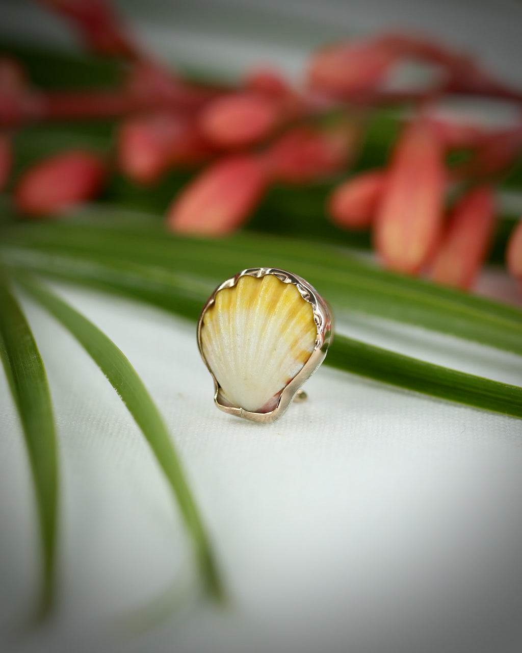 Sunrise Shell Ear Cuffs