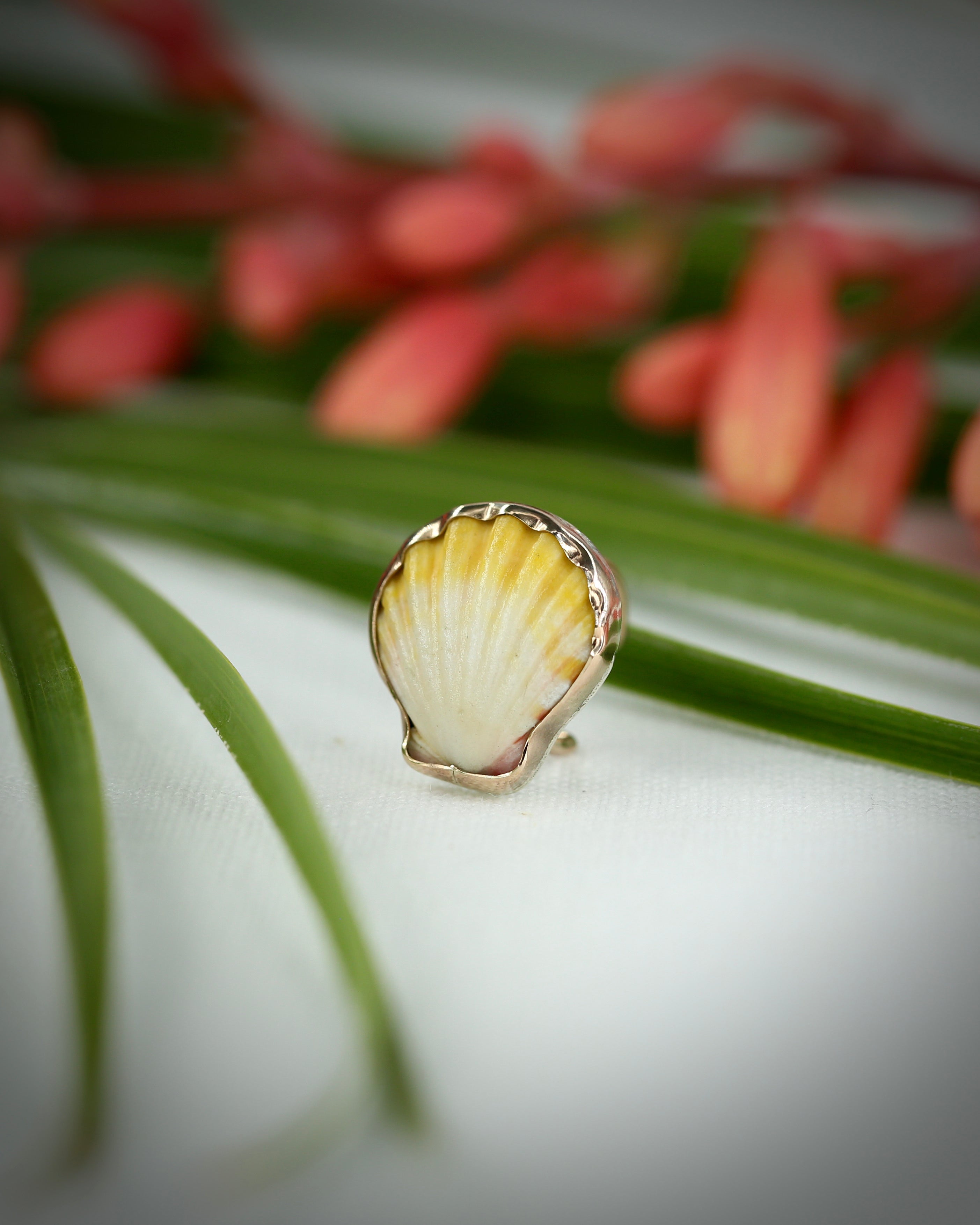 Sunrise Shell Ear Cuffs